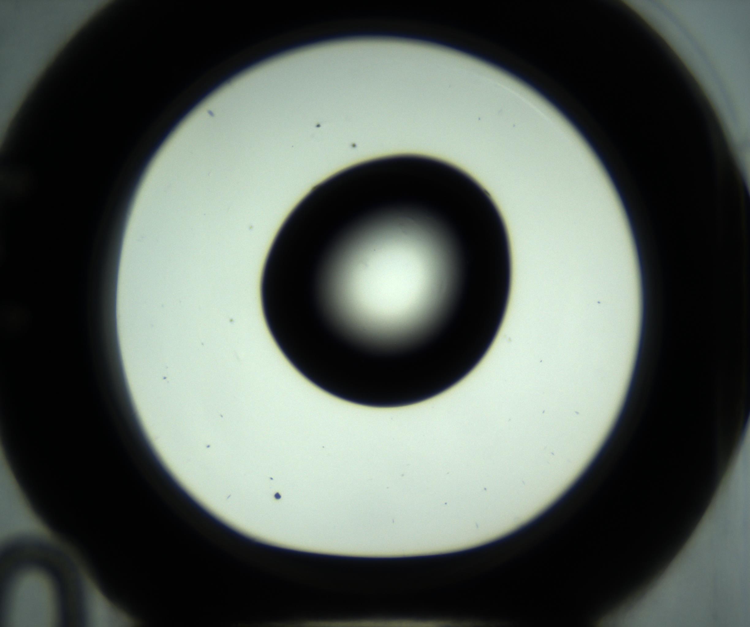 RI01_03_000_0212_Proj1_Clon1_MC_0000MC102880_001_161021_10_05_01_00_98_002_001_RAI.jpg