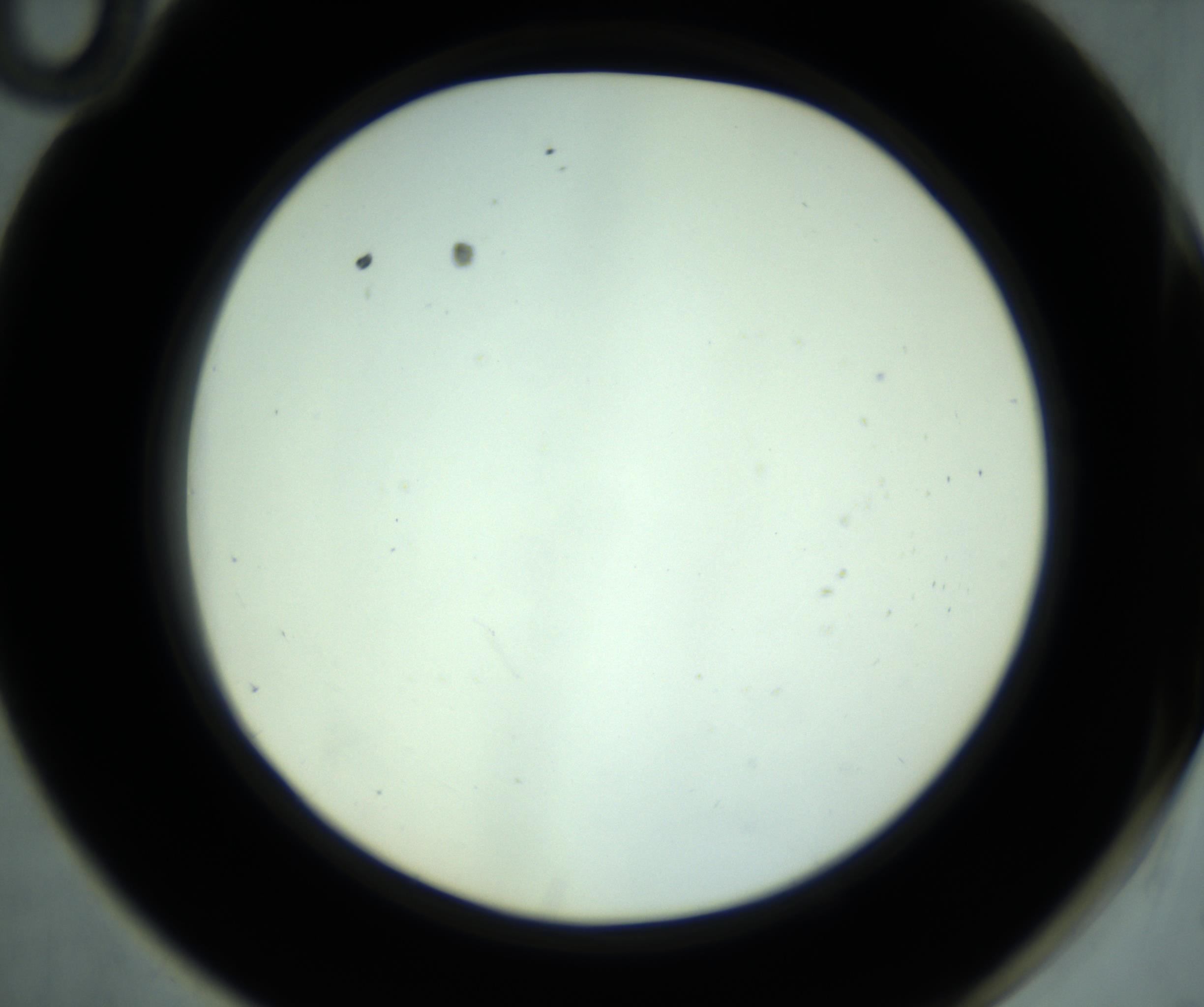 RI01_03_000_0212_Proj1_Clon1_MC_0000MC102880_001_161021_10_05_02_00_98_002_001_RAI.jpg