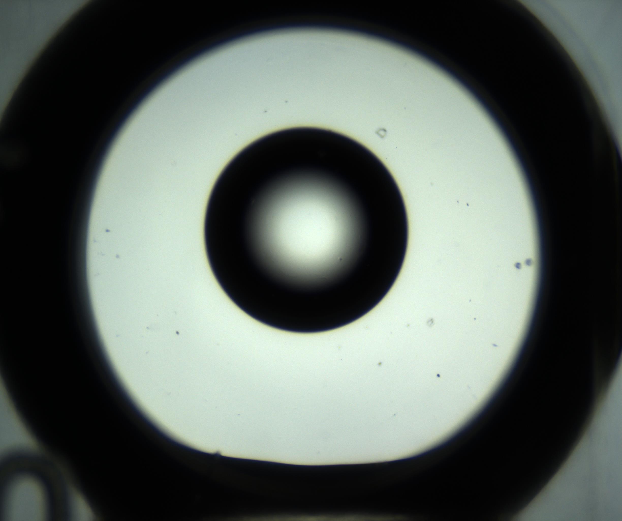 RI01_03_000_0212_Proj1_Clon1_MC_0000MC102880_001_161021_10_06_01_00_98_002_001_RAI.jpg