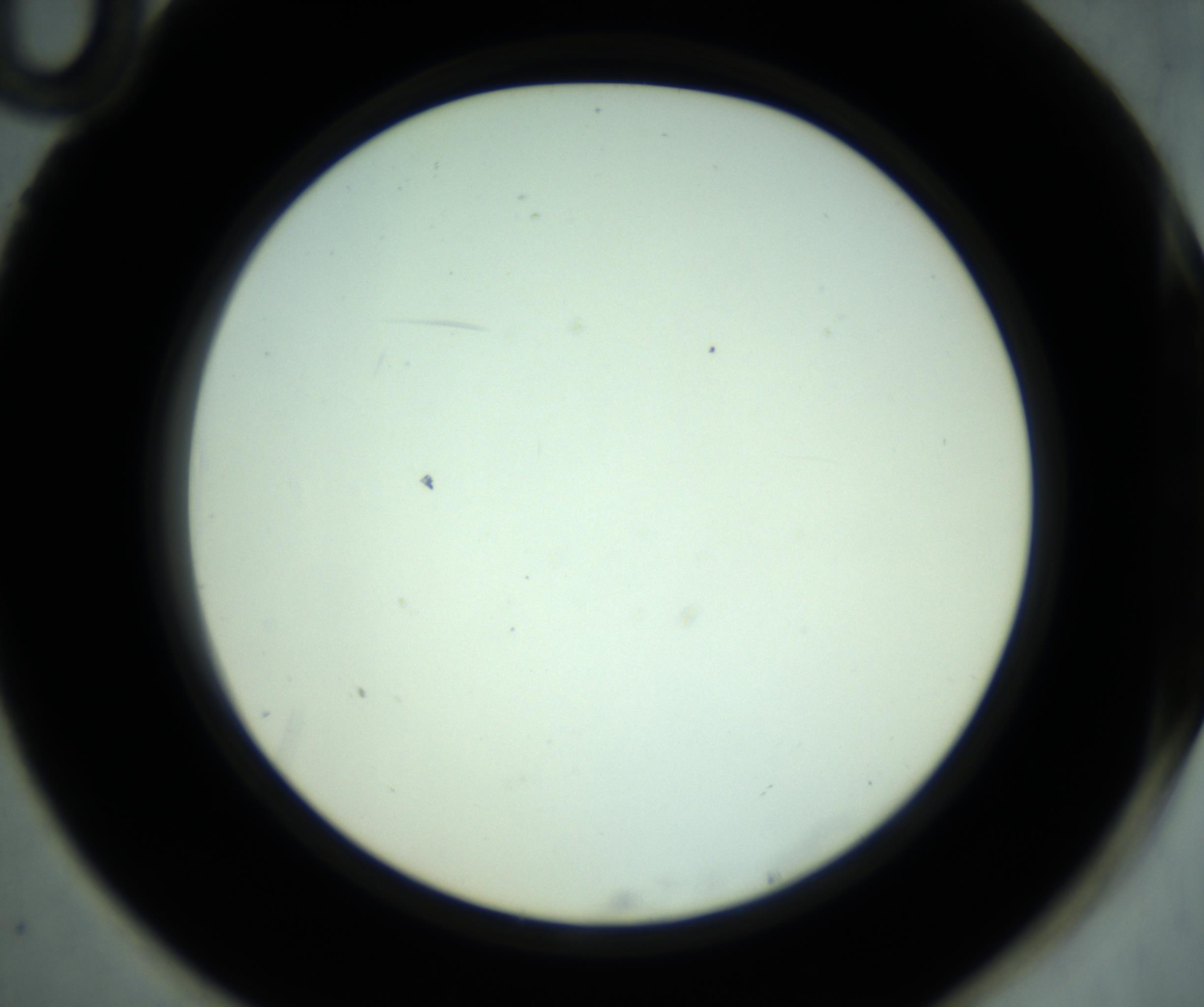 RI01_03_000_0212_Proj1_Clon1_MC_0000MC102880_001_161021_10_07_02_00_98_002_001_RAI.jpg