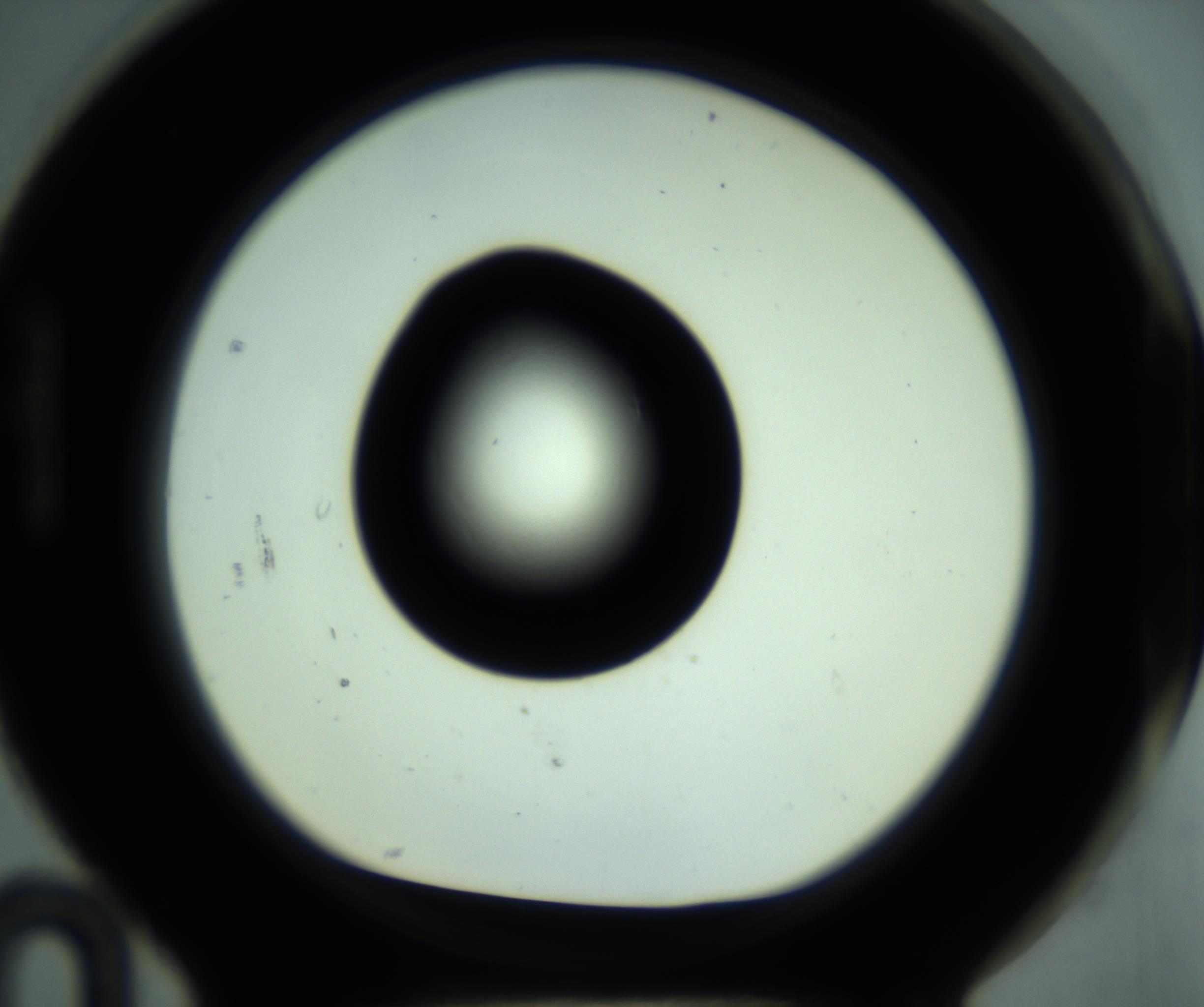 RI01_03_000_0212_Proj1_Clon1_MC_0000MC102880_001_161021_10_08_01_00_98_002_001_RAI.jpg