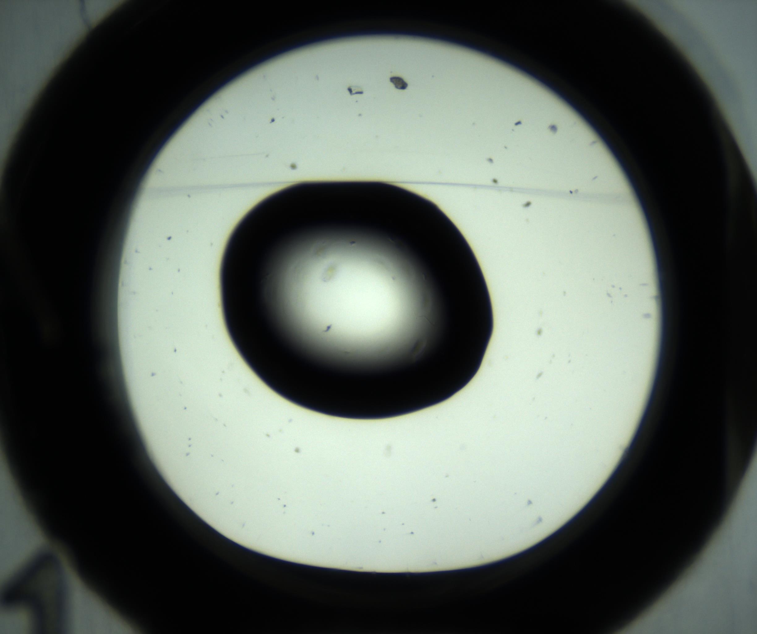 RI01_03_000_0212_Proj1_Clon1_MC_0000MC102880_001_161021_11_01_01_00_98_002_001_RAI.jpg