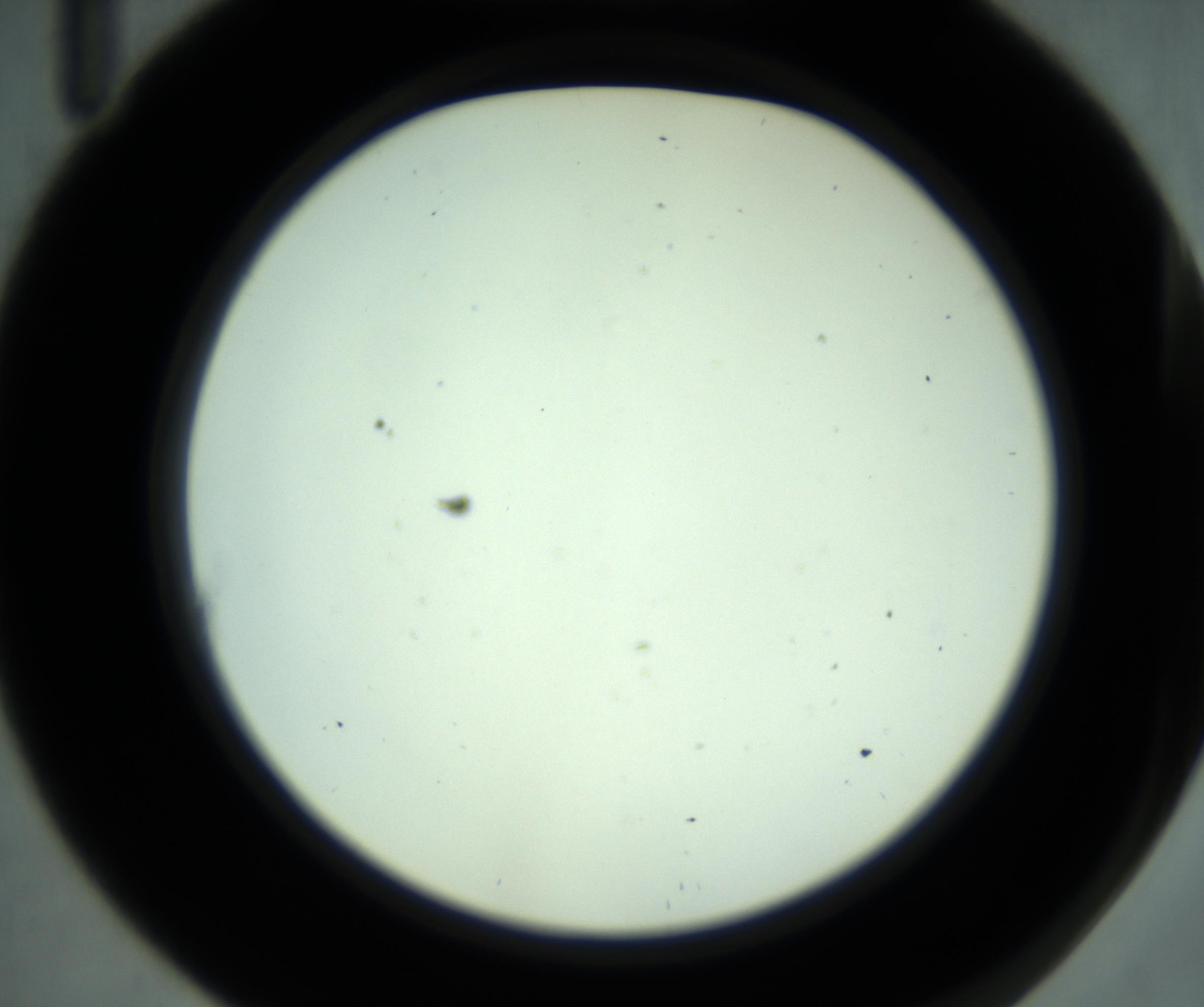 RI01_03_000_0212_Proj1_Clon1_MC_0000MC102880_001_161021_11_01_02_00_98_002_001_RAI.jpg