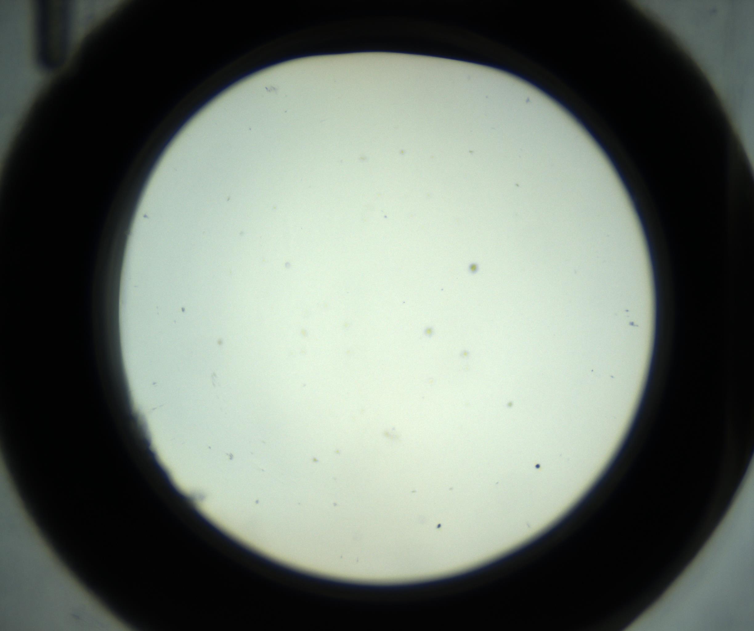 RI01_03_000_0212_Proj1_Clon1_MC_0000MC102880_001_161021_11_02_02_00_98_002_001_RAI.jpg