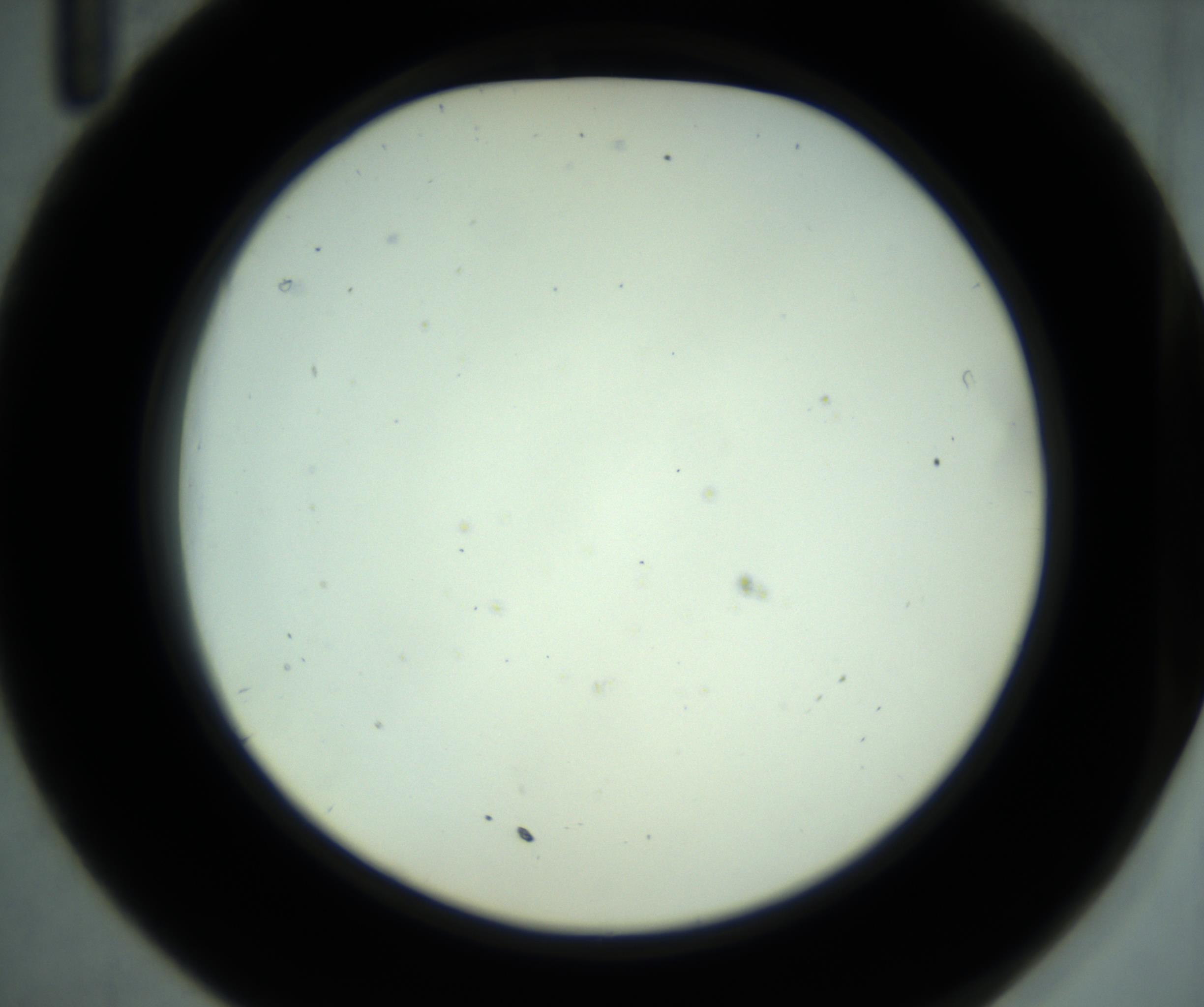 RI01_03_000_0212_Proj1_Clon1_MC_0000MC102880_001_161021_11_03_02_00_98_002_001_RAI.jpg