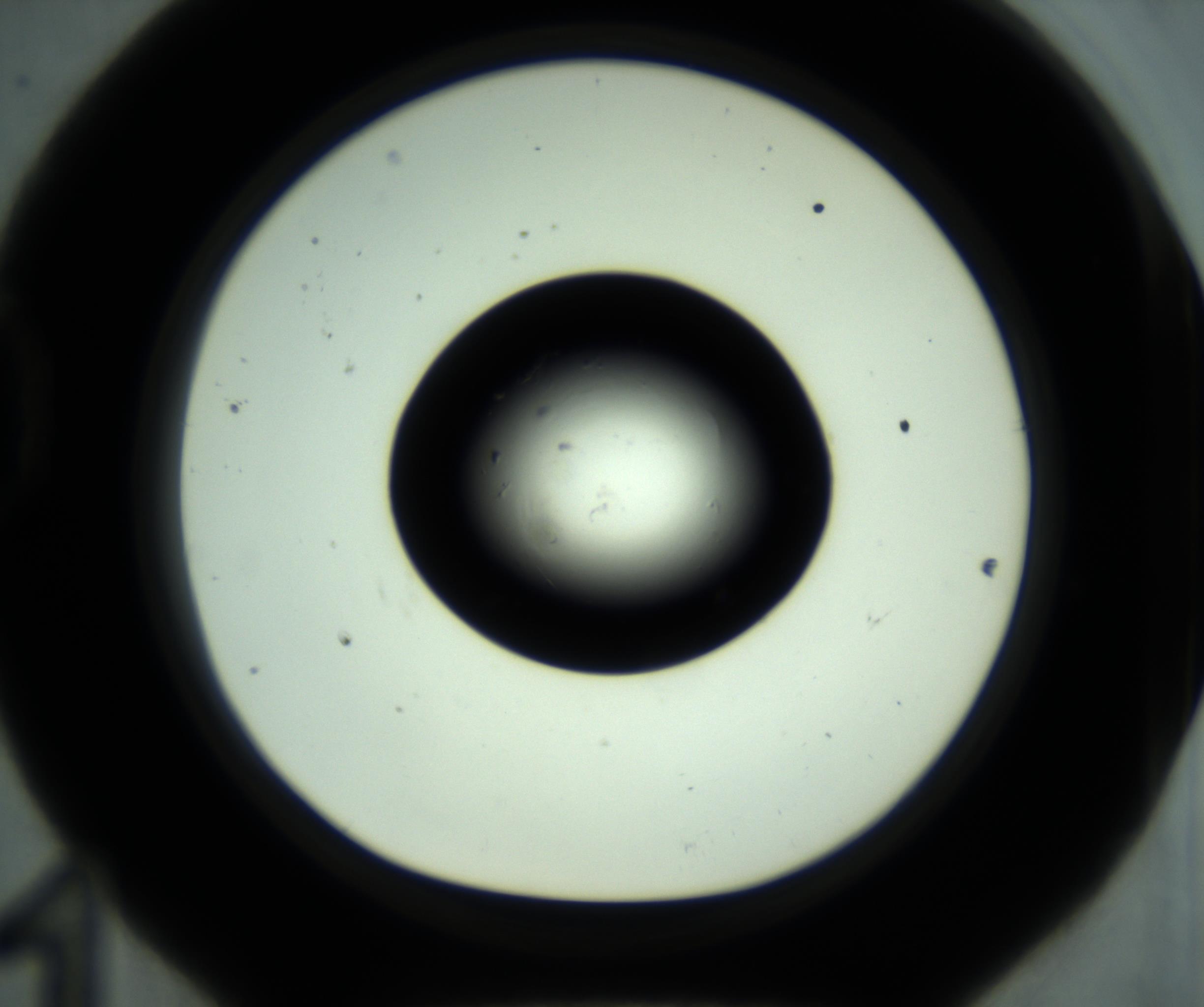 RI01_03_000_0212_Proj1_Clon1_MC_0000MC102880_001_161021_11_04_01_00_98_002_001_RAI.jpg