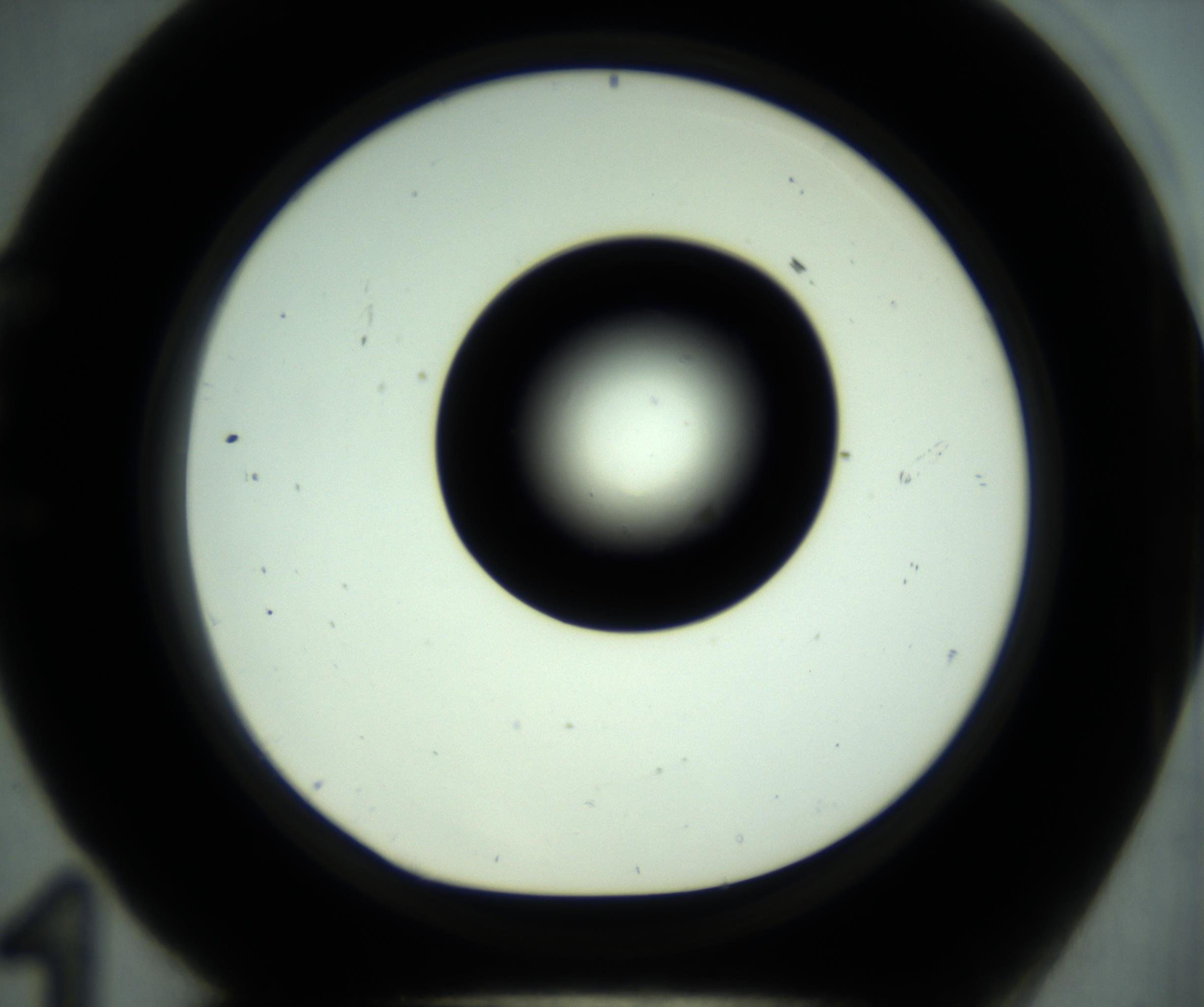 RI01_03_000_0212_Proj1_Clon1_MC_0000MC102880_001_161021_11_05_01_00_98_002_001_RAI.jpg