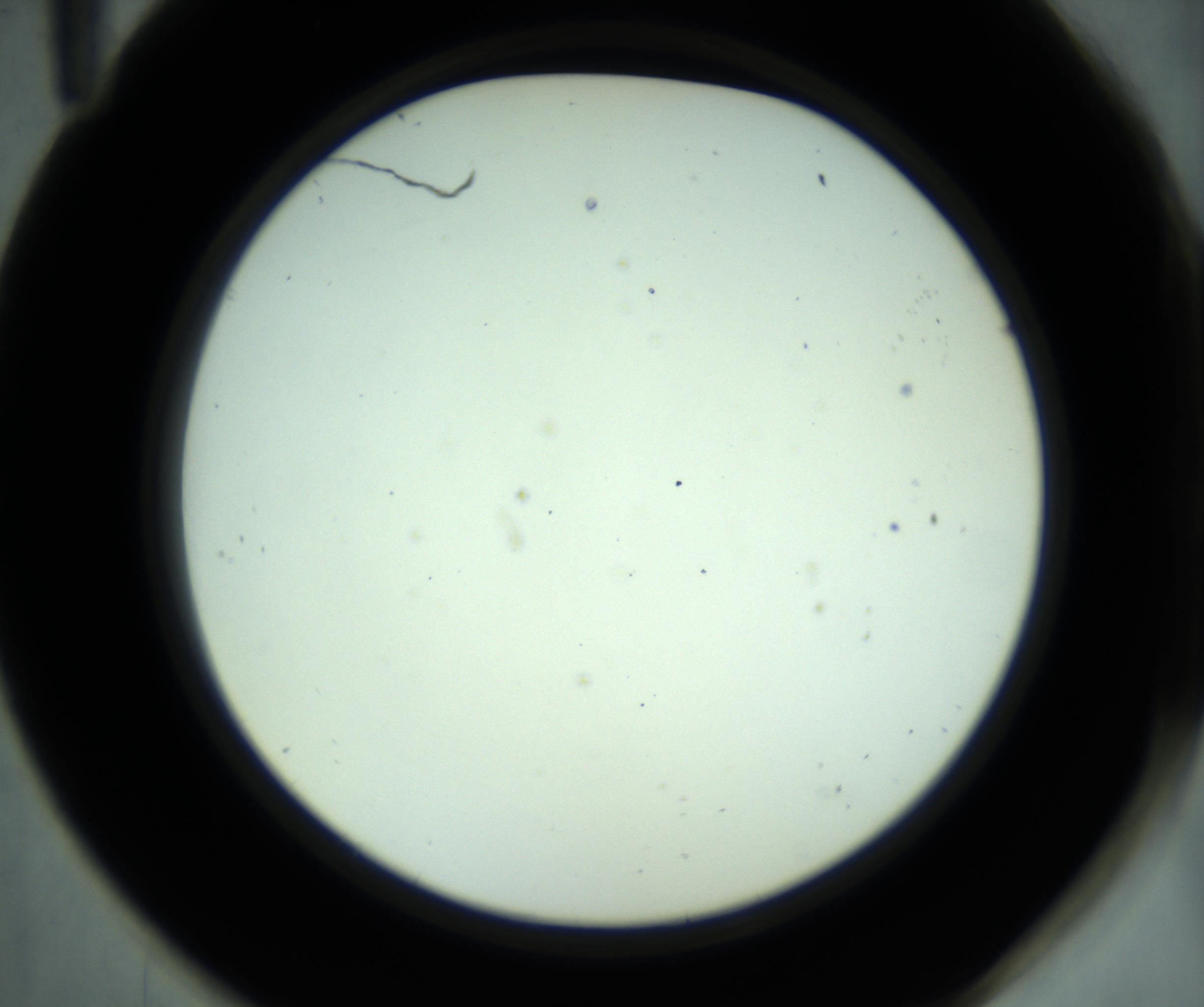 RI01_03_000_0212_Proj1_Clon1_MC_0000MC102880_001_161021_11_05_02_00_98_002_001_RAI.jpg