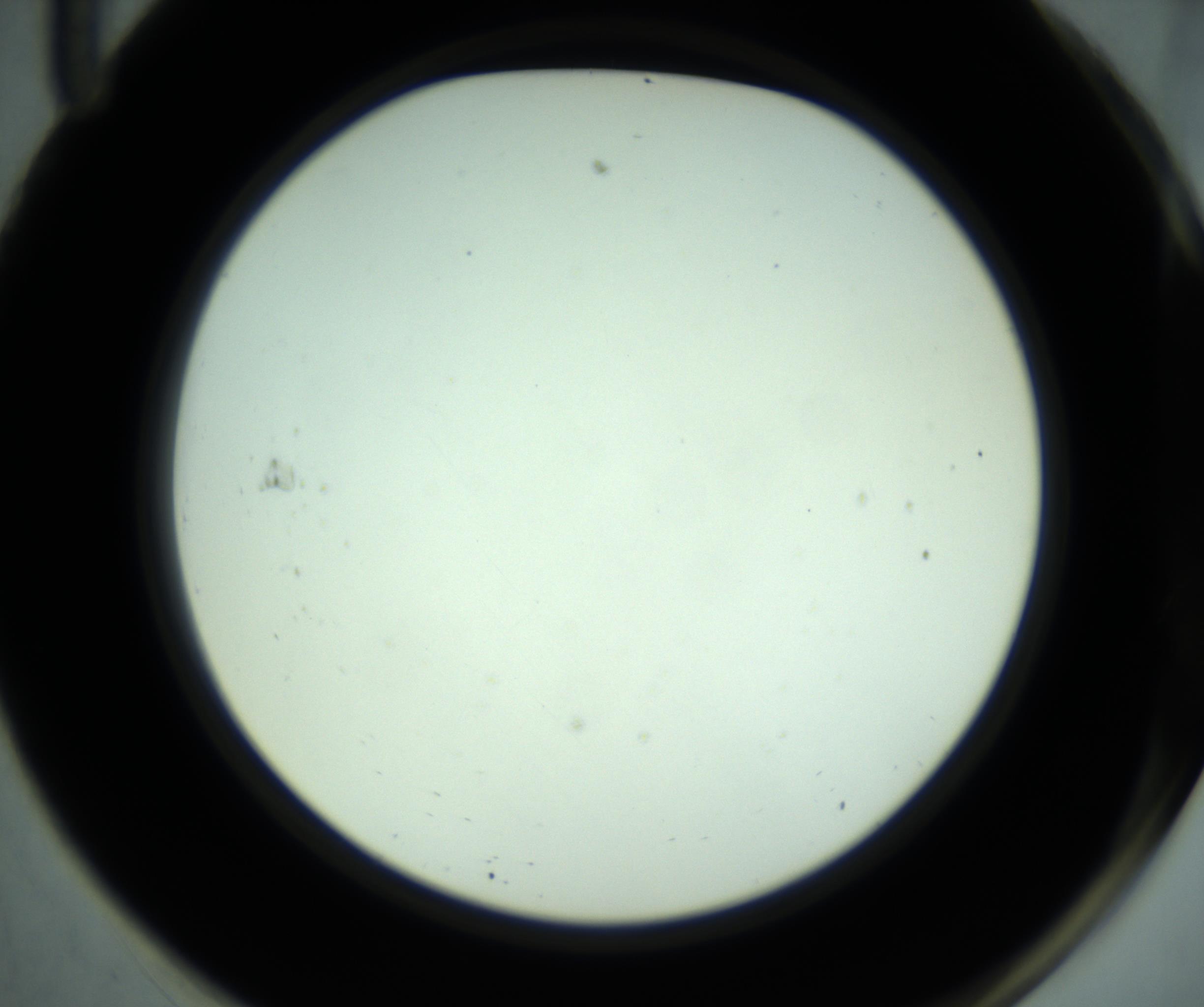 RI01_03_000_0212_Proj1_Clon1_MC_0000MC102880_001_161021_11_06_02_00_98_002_001_RAI.jpg
