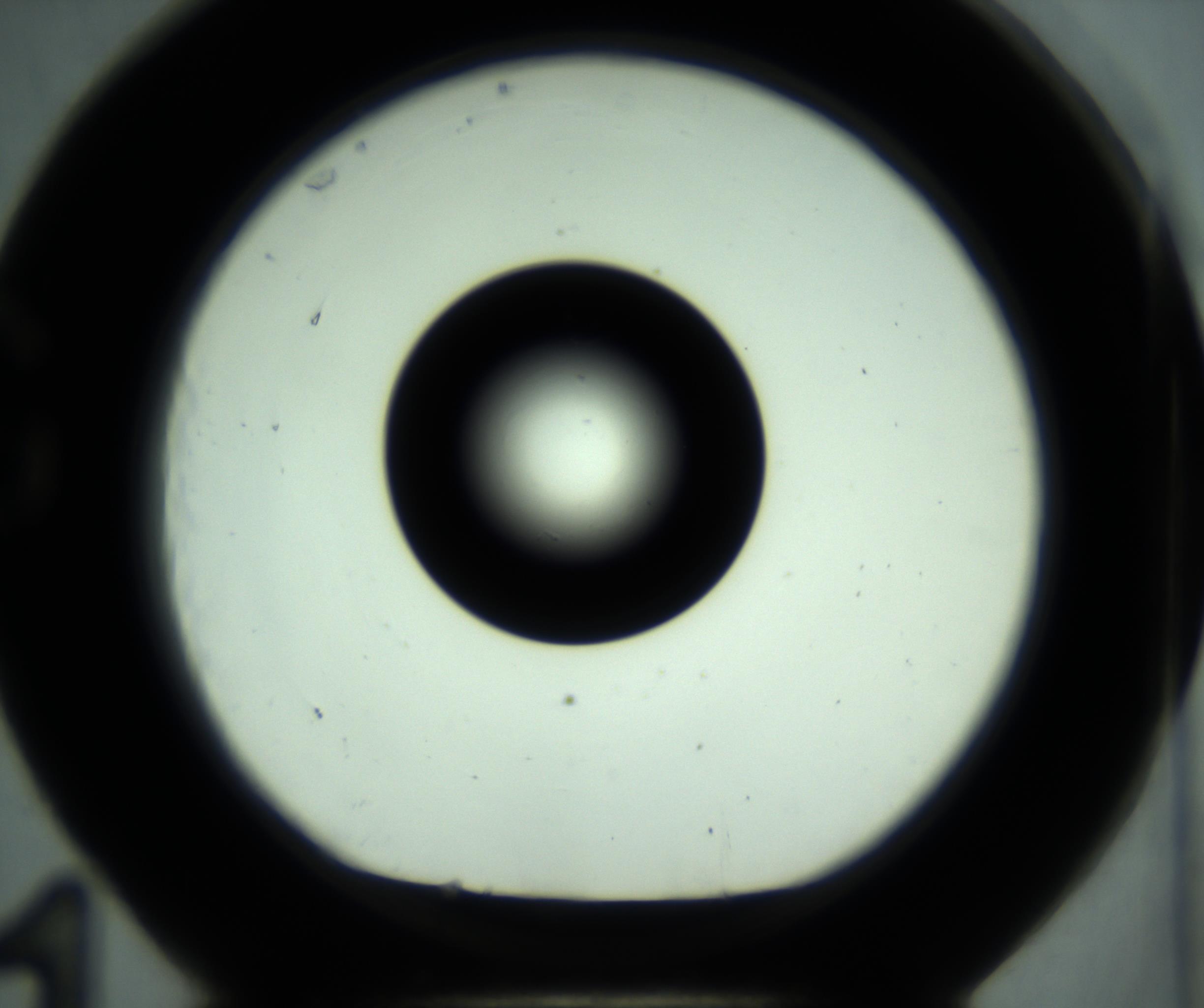 RI01_03_000_0212_Proj1_Clon1_MC_0000MC102880_001_161021_11_07_01_00_98_002_001_RAI.jpg