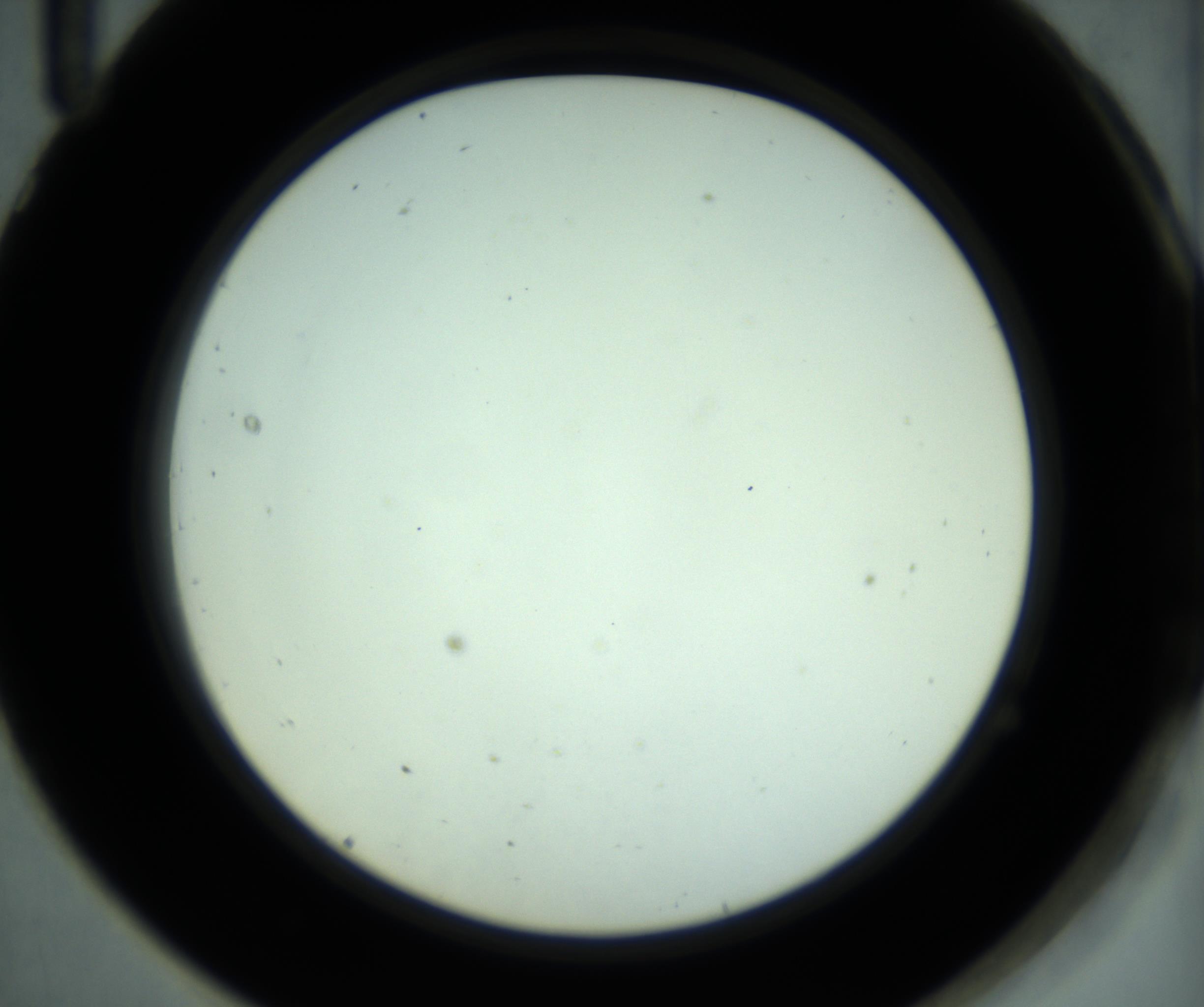 RI01_03_000_0212_Proj1_Clon1_MC_0000MC102880_001_161021_11_07_02_00_98_002_001_RAI.jpg