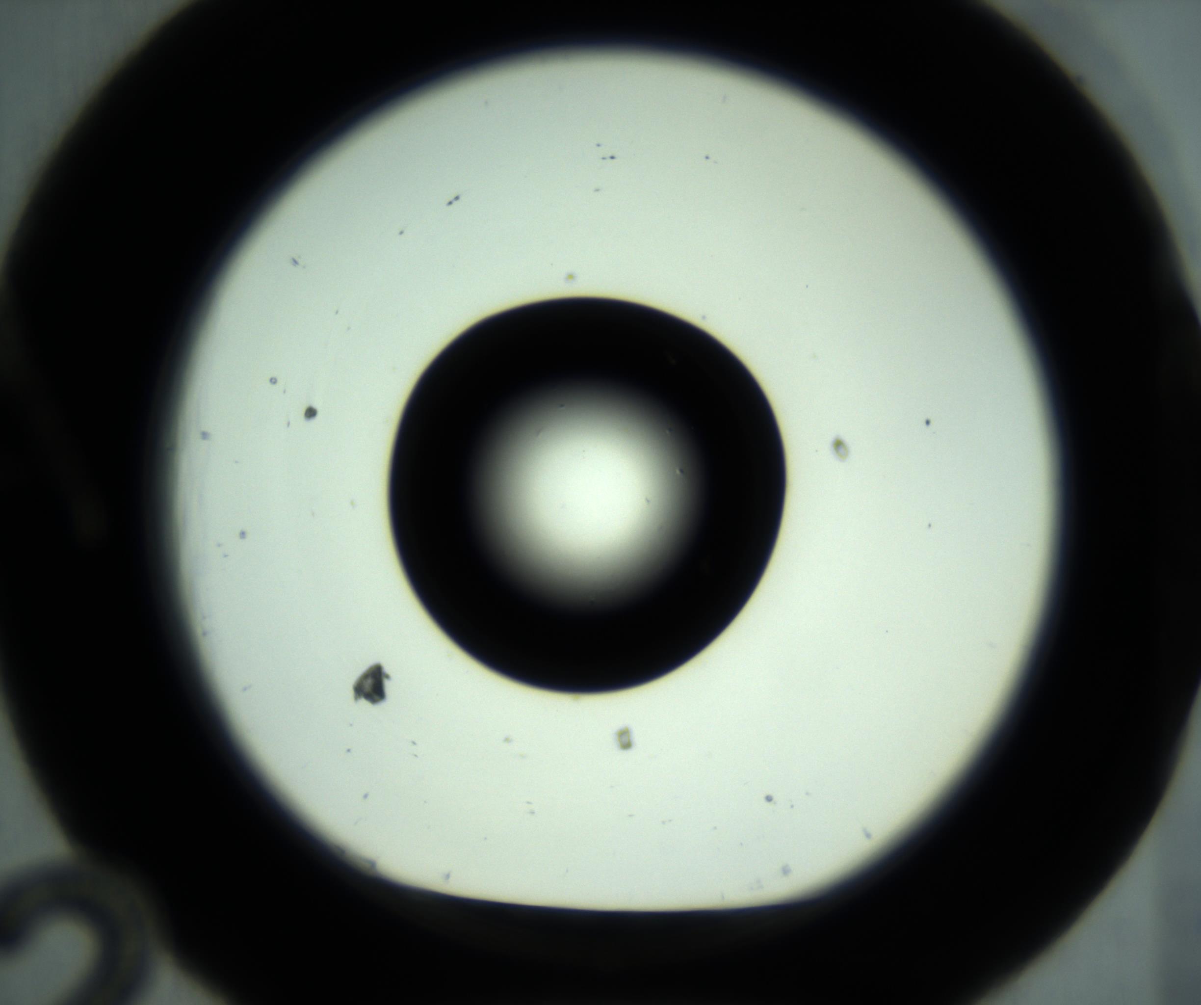 RI01_03_000_0212_Proj1_Clon1_MC_0000MC102880_001_161021_12_01_01_00_98_002_001_RAI.jpg