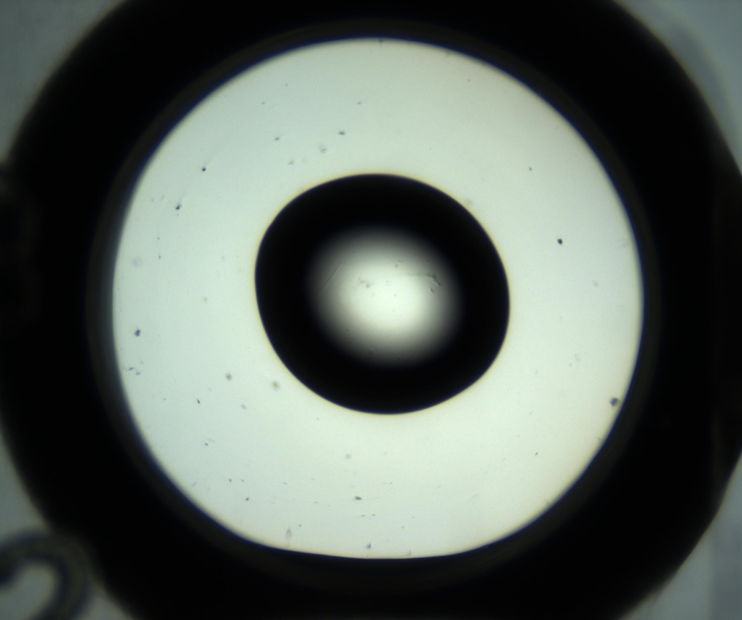 RI01_03_000_0212_Proj1_Clon1_MC_0000MC102880_001_161021_12_02_01_00_98_002_001_RAI.jpg