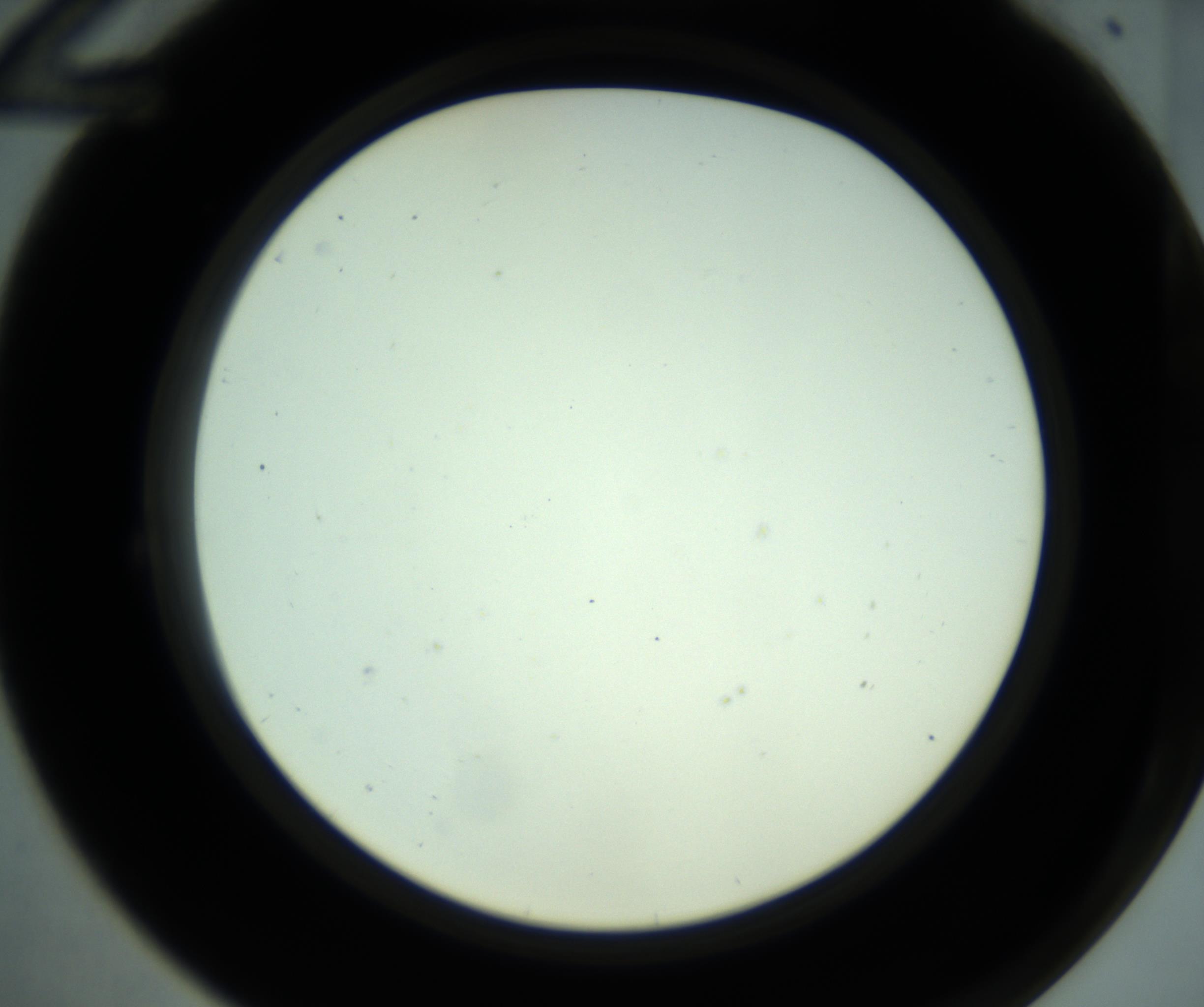 RI01_03_000_0212_Proj1_Clon1_MC_0000MC102880_001_161021_12_02_02_00_98_002_001_RAI.jpg