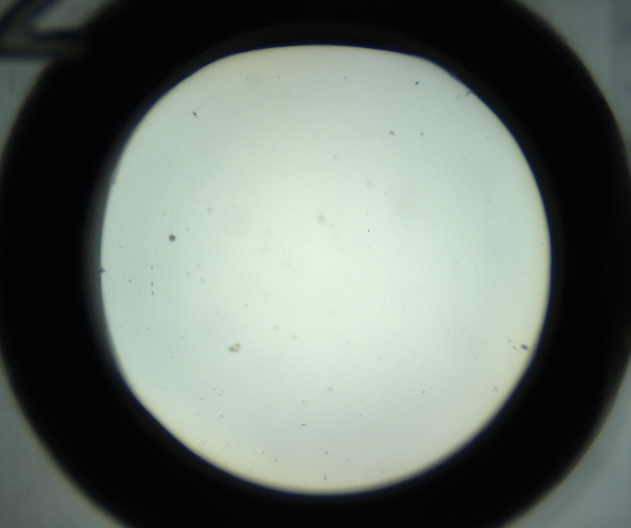 RI01_03_000_0212_Proj1_Clon1_MC_0000MC102880_001_161021_12_03_02_00_98_002_001_RAI.jpg