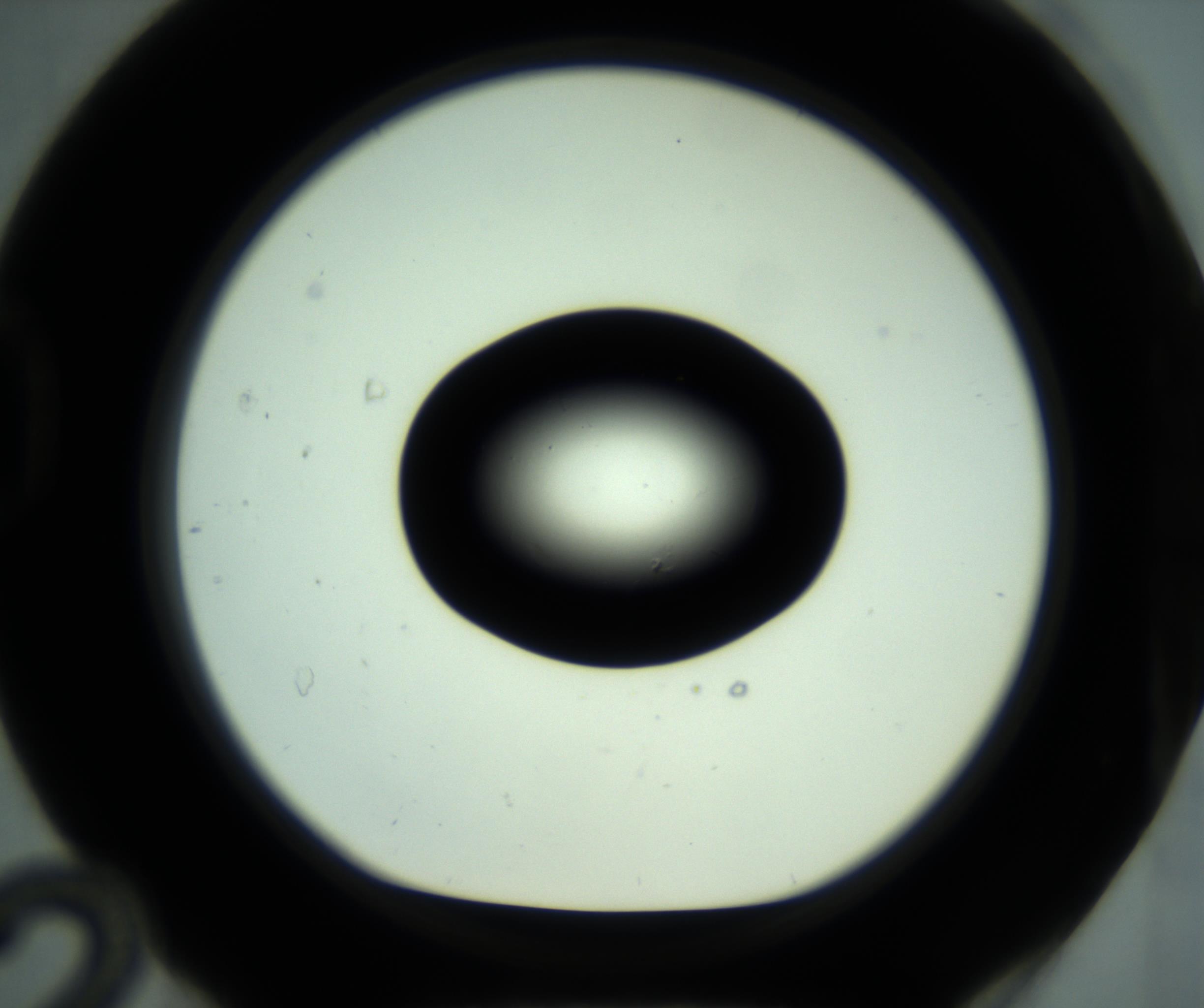RI01_03_000_0212_Proj1_Clon1_MC_0000MC102880_001_161021_12_04_01_00_98_002_001_RAI.jpg
