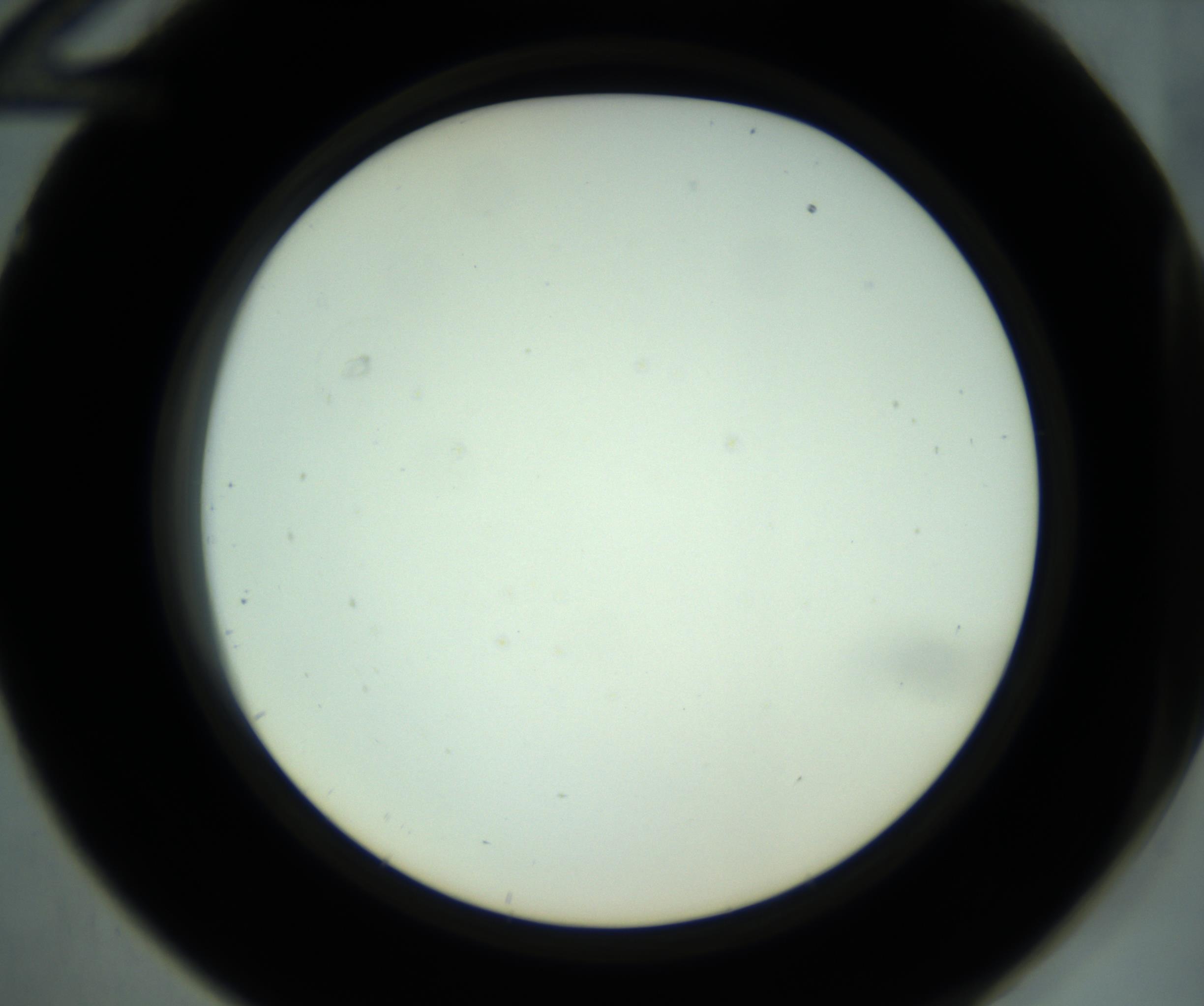 RI01_03_000_0212_Proj1_Clon1_MC_0000MC102880_001_161021_12_04_02_00_98_002_001_RAI.jpg