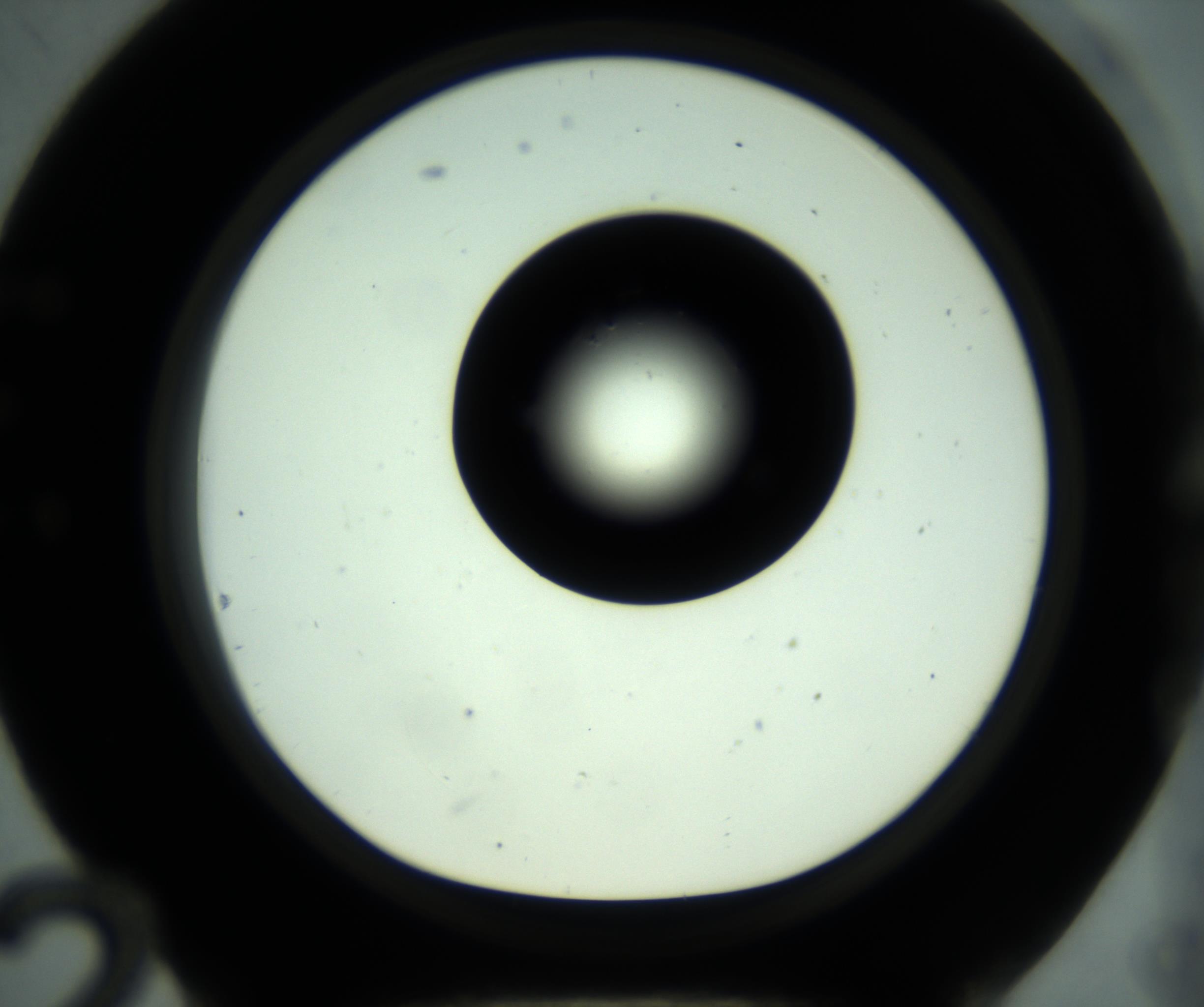 RI01_03_000_0212_Proj1_Clon1_MC_0000MC102880_001_161021_12_05_01_00_98_002_001_RAI.jpg