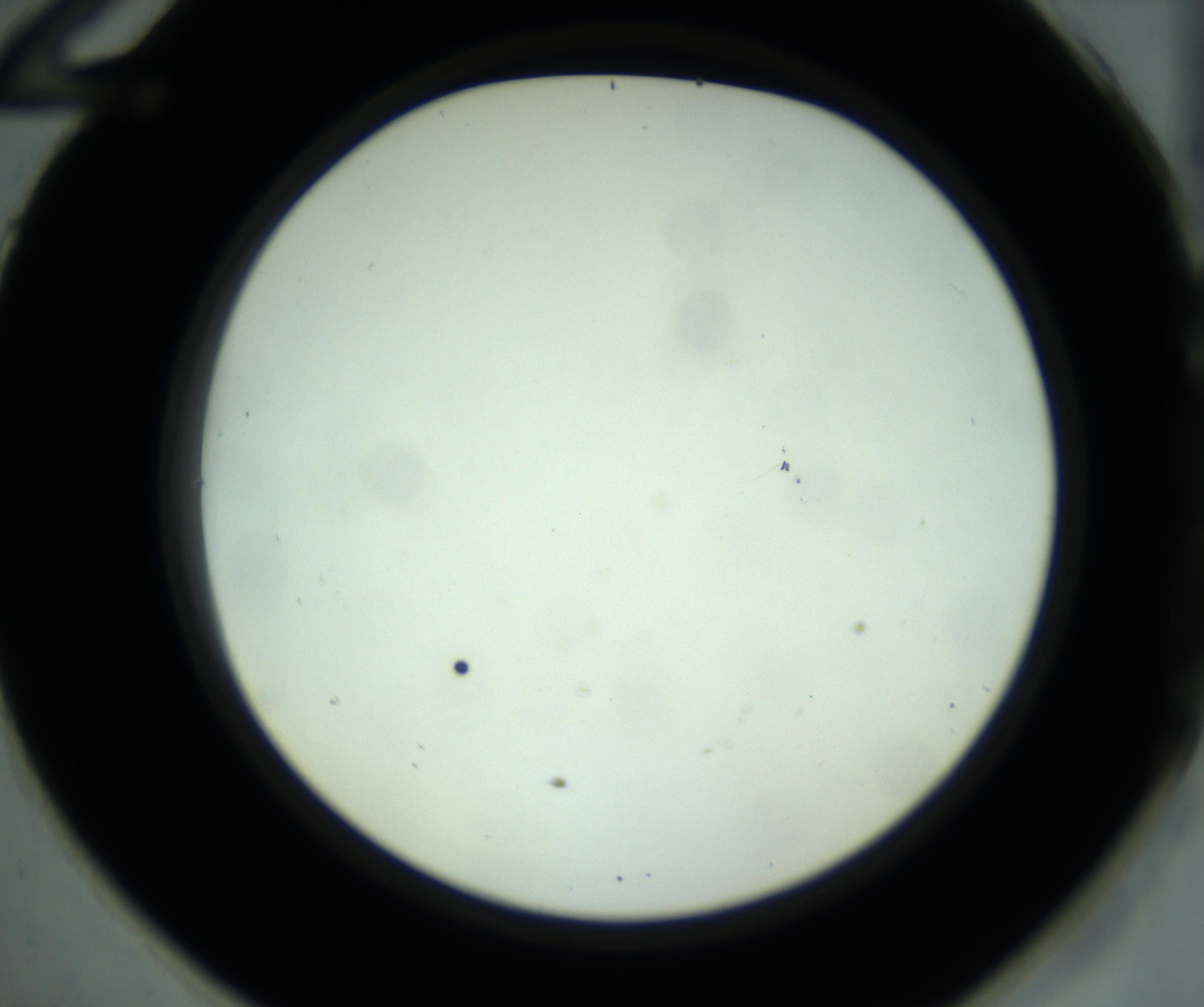 RI01_03_000_0212_Proj1_Clon1_MC_0000MC102880_001_161021_12_05_02_00_98_002_001_RAI.jpg