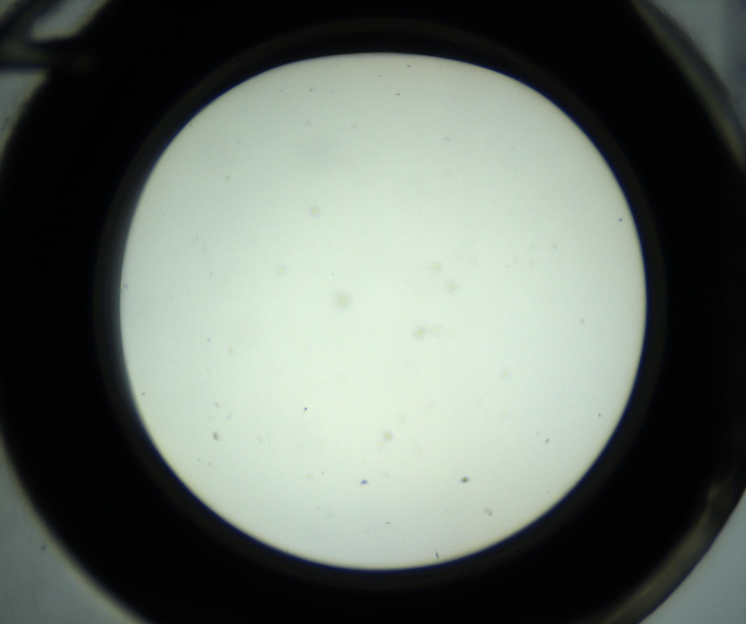 RI01_03_000_0212_Proj1_Clon1_MC_0000MC102880_001_161021_12_06_02_00_98_002_001_RAI.jpg