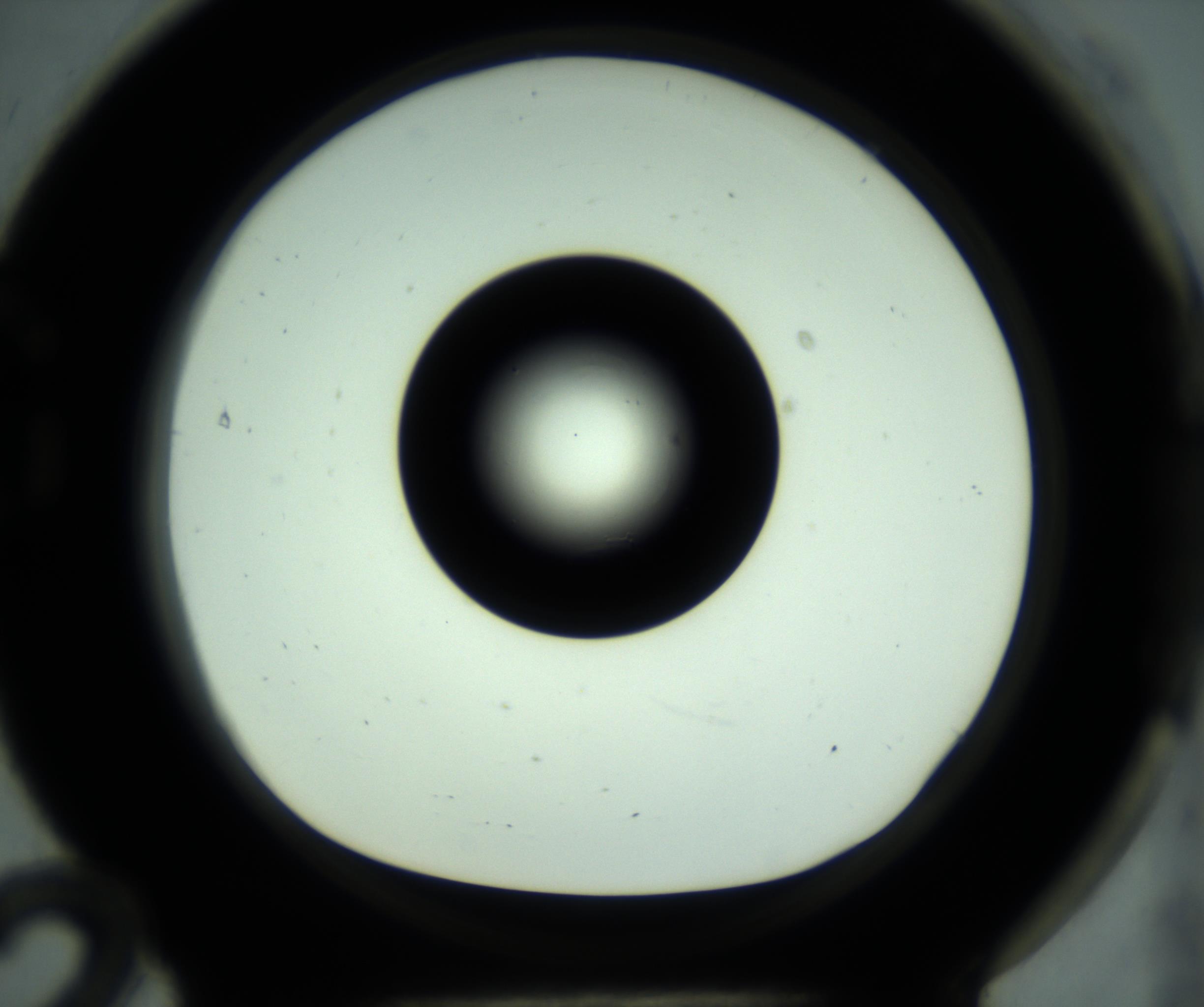 RI01_03_000_0212_Proj1_Clon1_MC_0000MC102880_001_161021_12_07_01_00_98_002_001_RAI.jpg