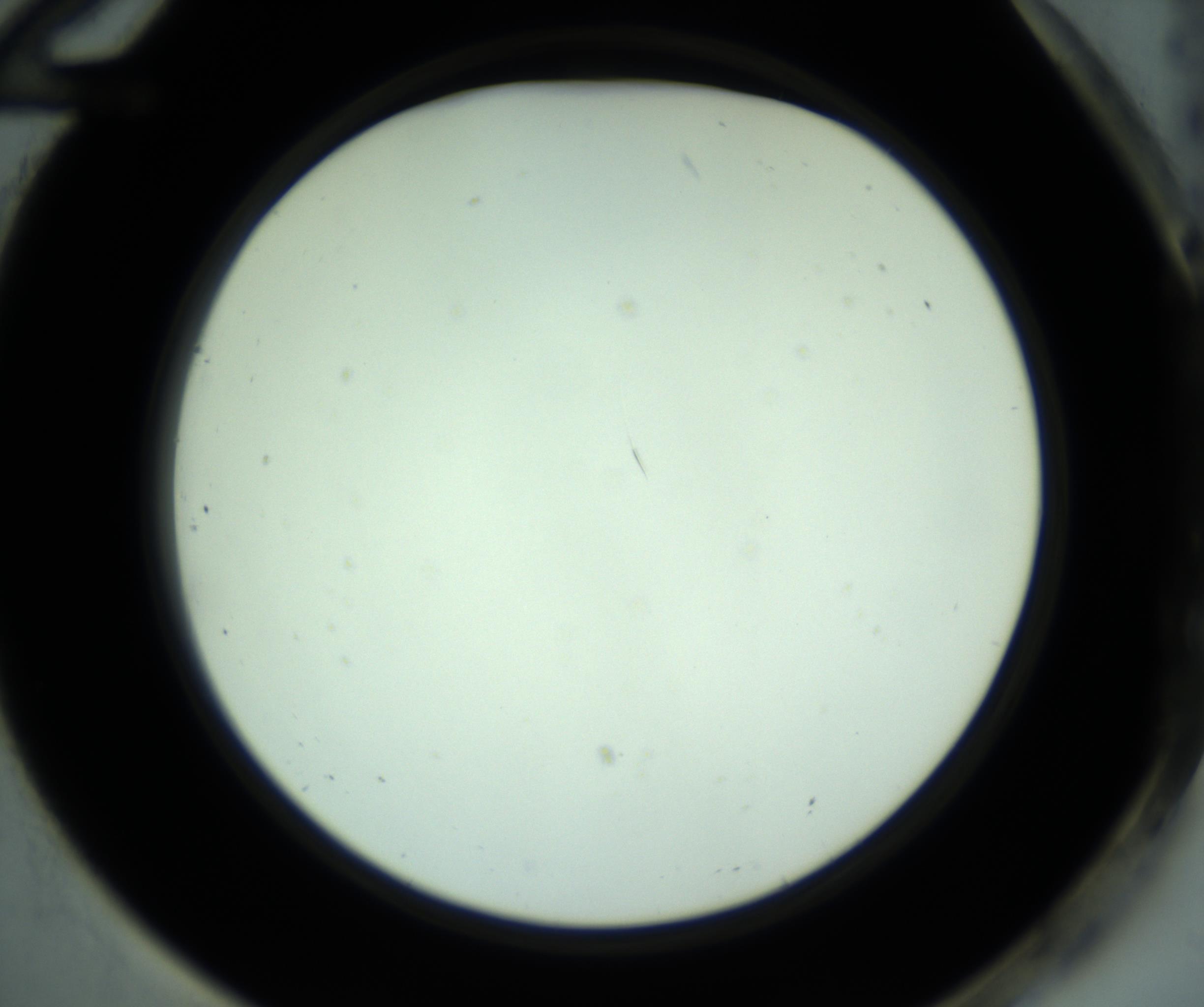 RI01_03_000_0212_Proj1_Clon1_MC_0000MC102880_001_161021_12_07_02_00_98_002_001_RAI.jpg