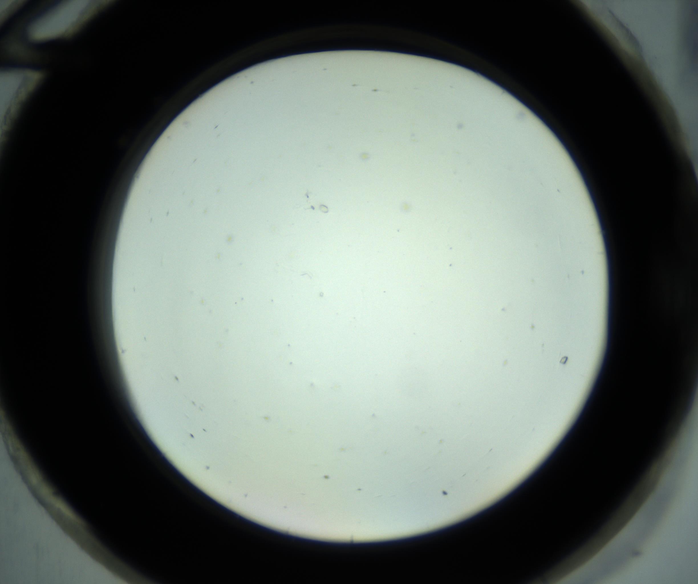 RI01_03_000_0212_Proj1_Clon1_MC_0000MC102880_001_161021_12_08_02_00_98_002_001_RAI.jpg