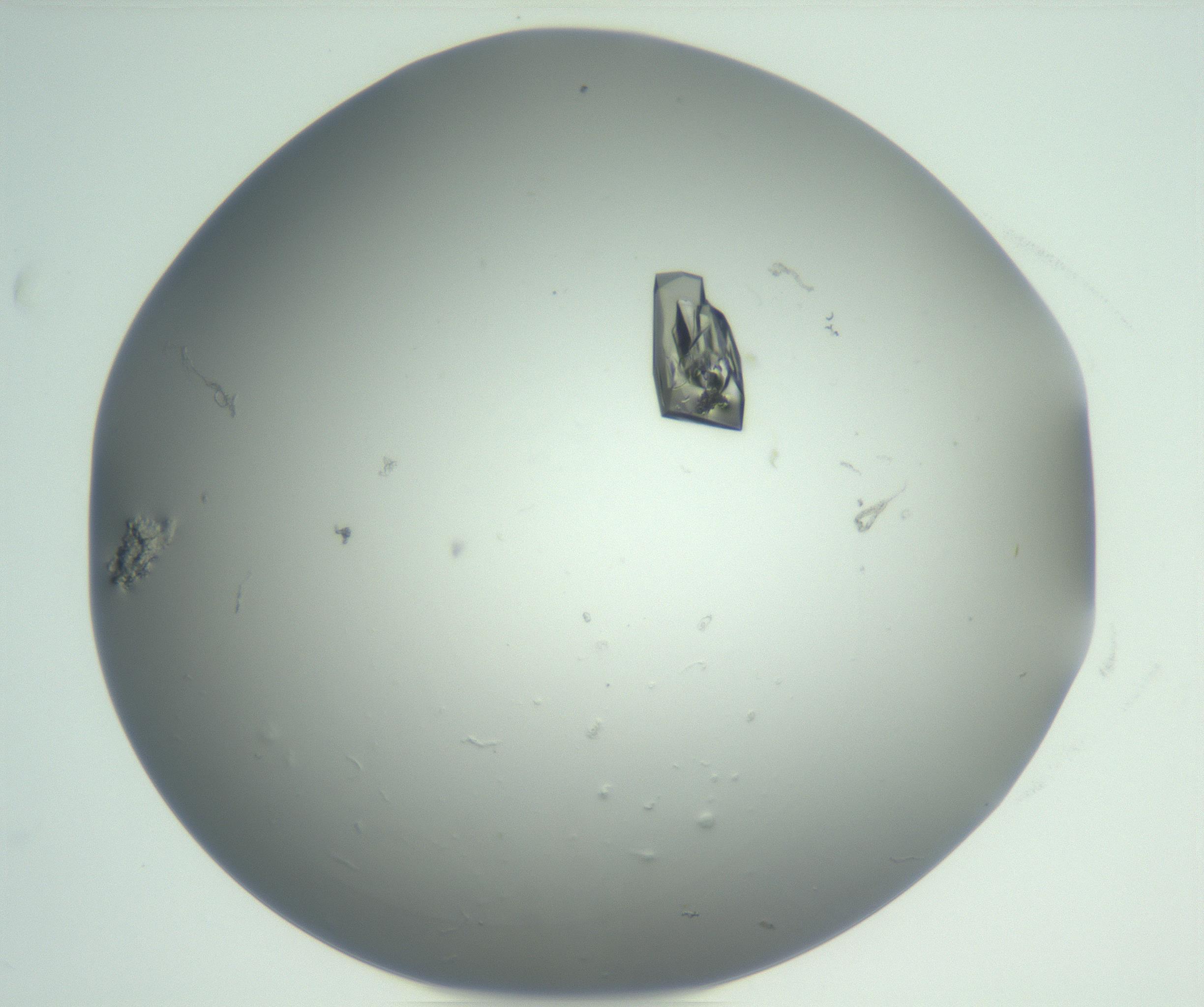 RI01_03_000_0212_Proj1_Clon1_MC_0000MC102880_003_161024_01_08_01_00_99_002_001_RAI.jpg