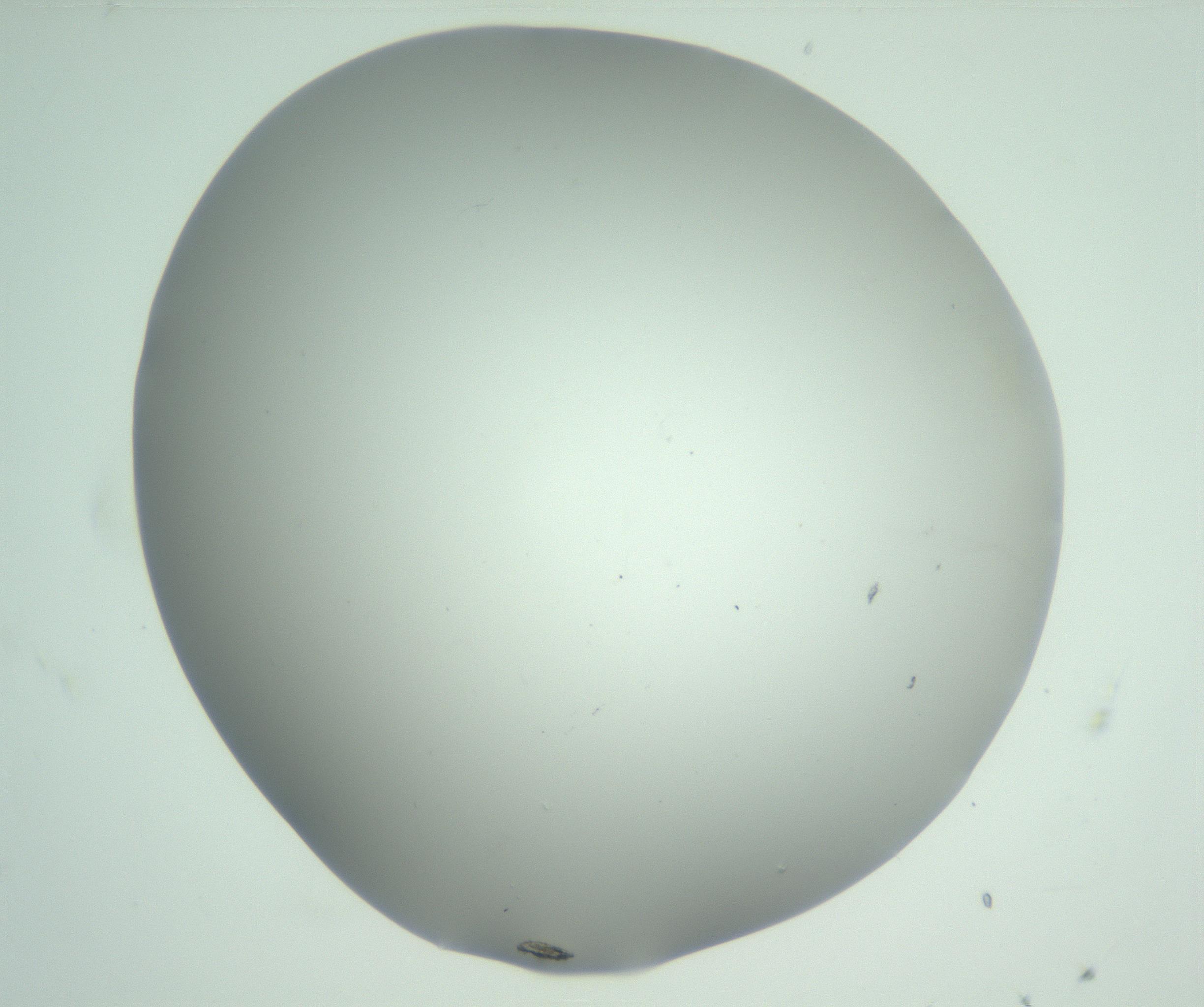 RI01_03_000_0212_Proj1_Clon1_MC_0000MC102880_005_161028_07_01_01_00_99_002_001_RAI.jpg