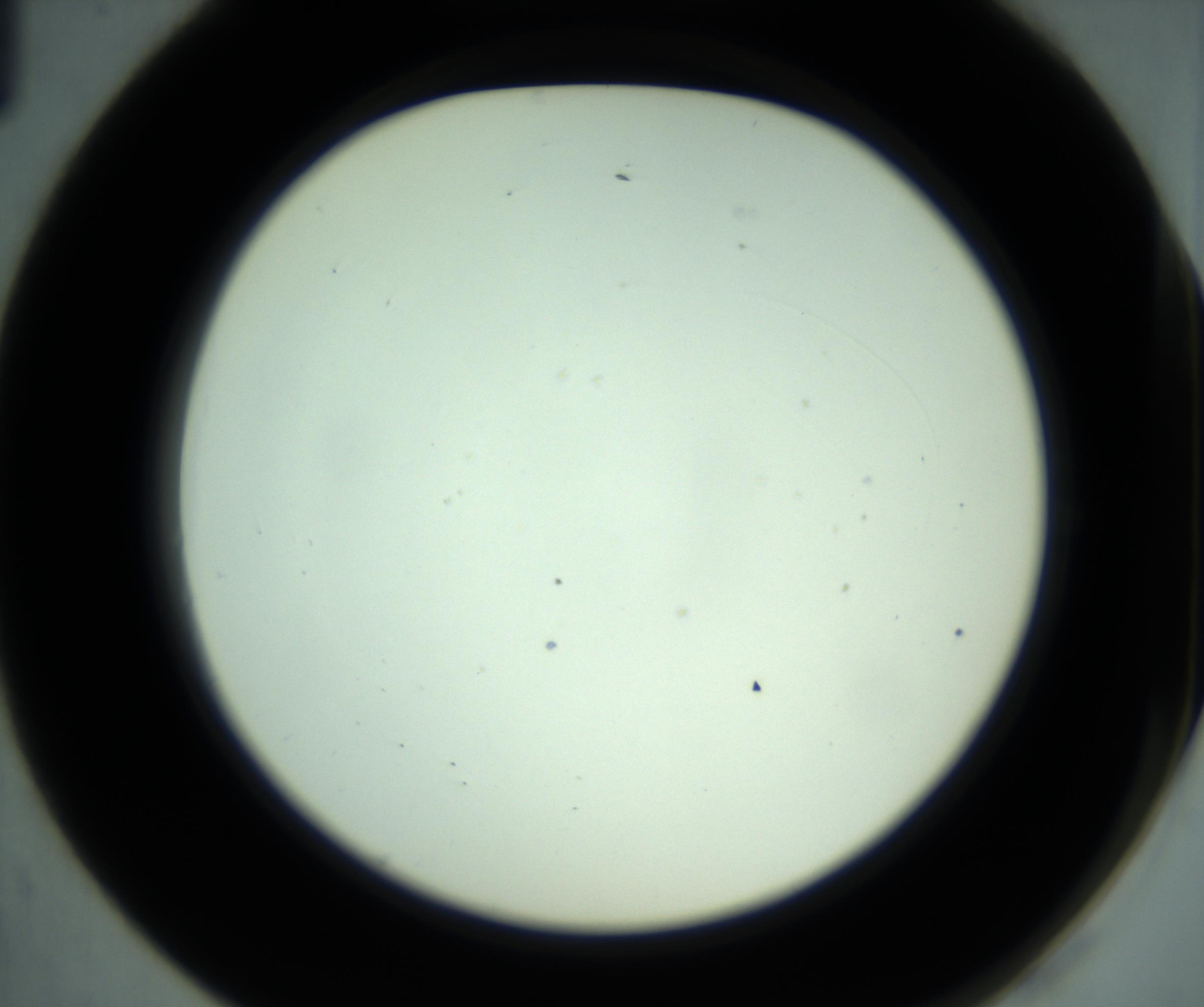 RI01_03_000_0212_Proj1_Clon1_MC_0000MC102881_001_161021_01_01_02_00_98_002_001_RAI.jpg