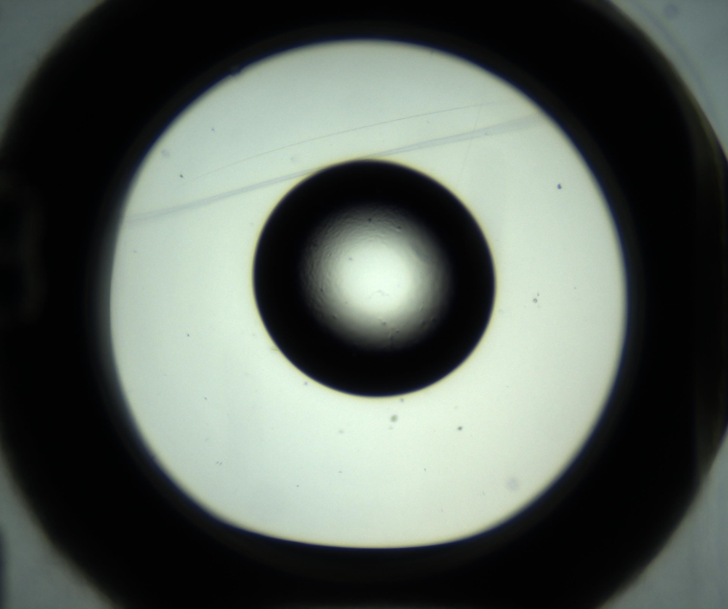 RI01_03_000_0212_Proj1_Clon1_MC_0000MC102881_001_161021_01_02_01_00_98_002_001_RAI.jpg