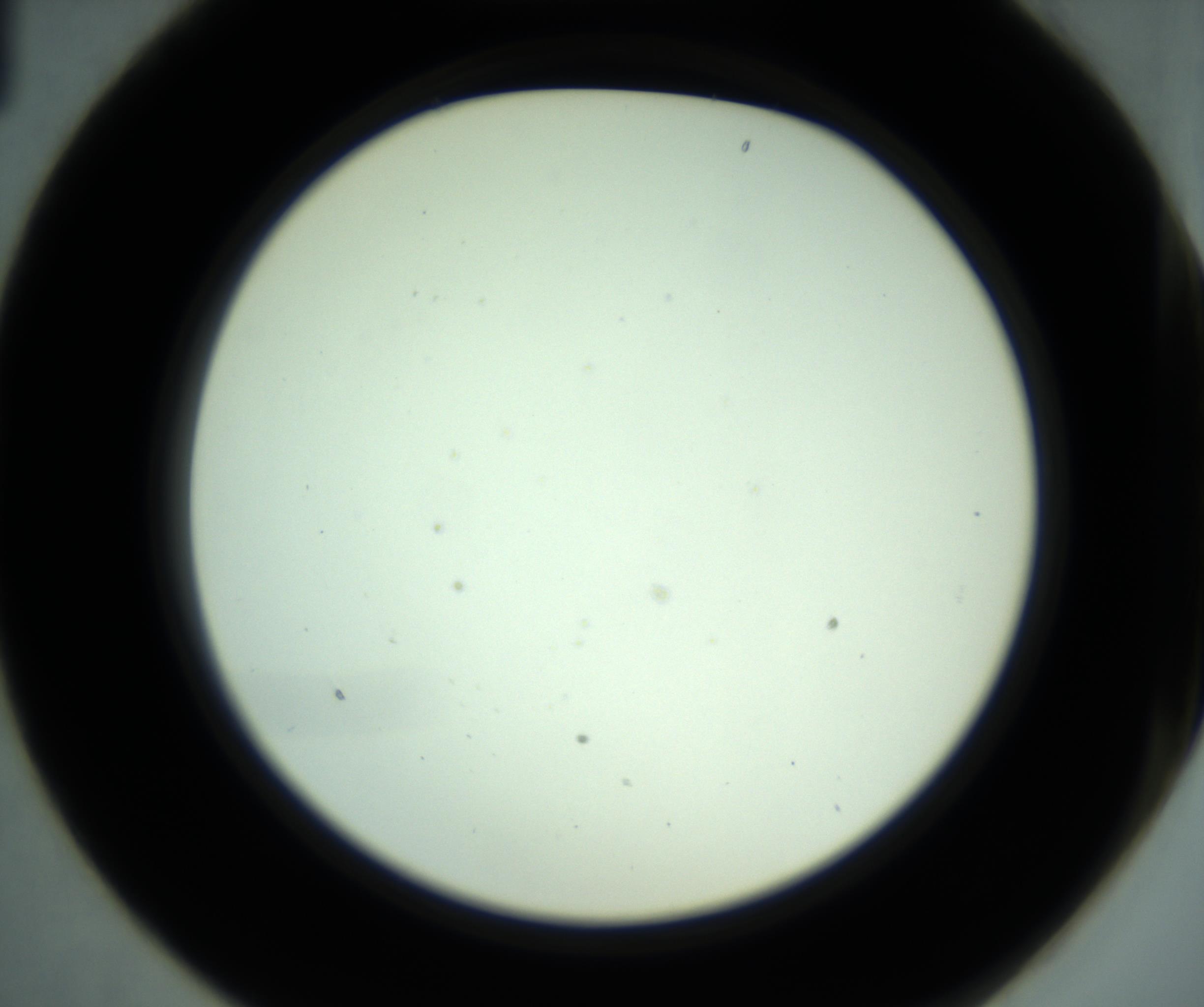 RI01_03_000_0212_Proj1_Clon1_MC_0000MC102881_001_161021_01_02_02_00_98_002_001_RAI.jpg