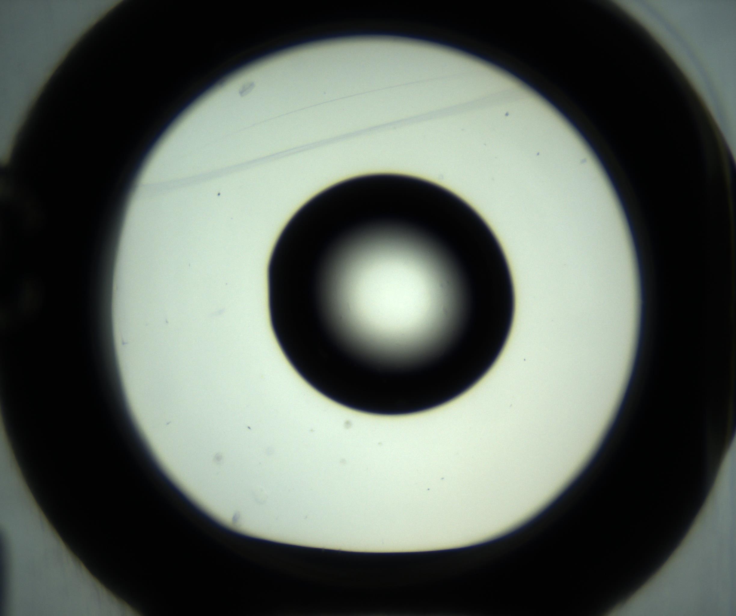 RI01_03_000_0212_Proj1_Clon1_MC_0000MC102881_001_161021_01_03_01_00_98_002_001_RAI.jpg