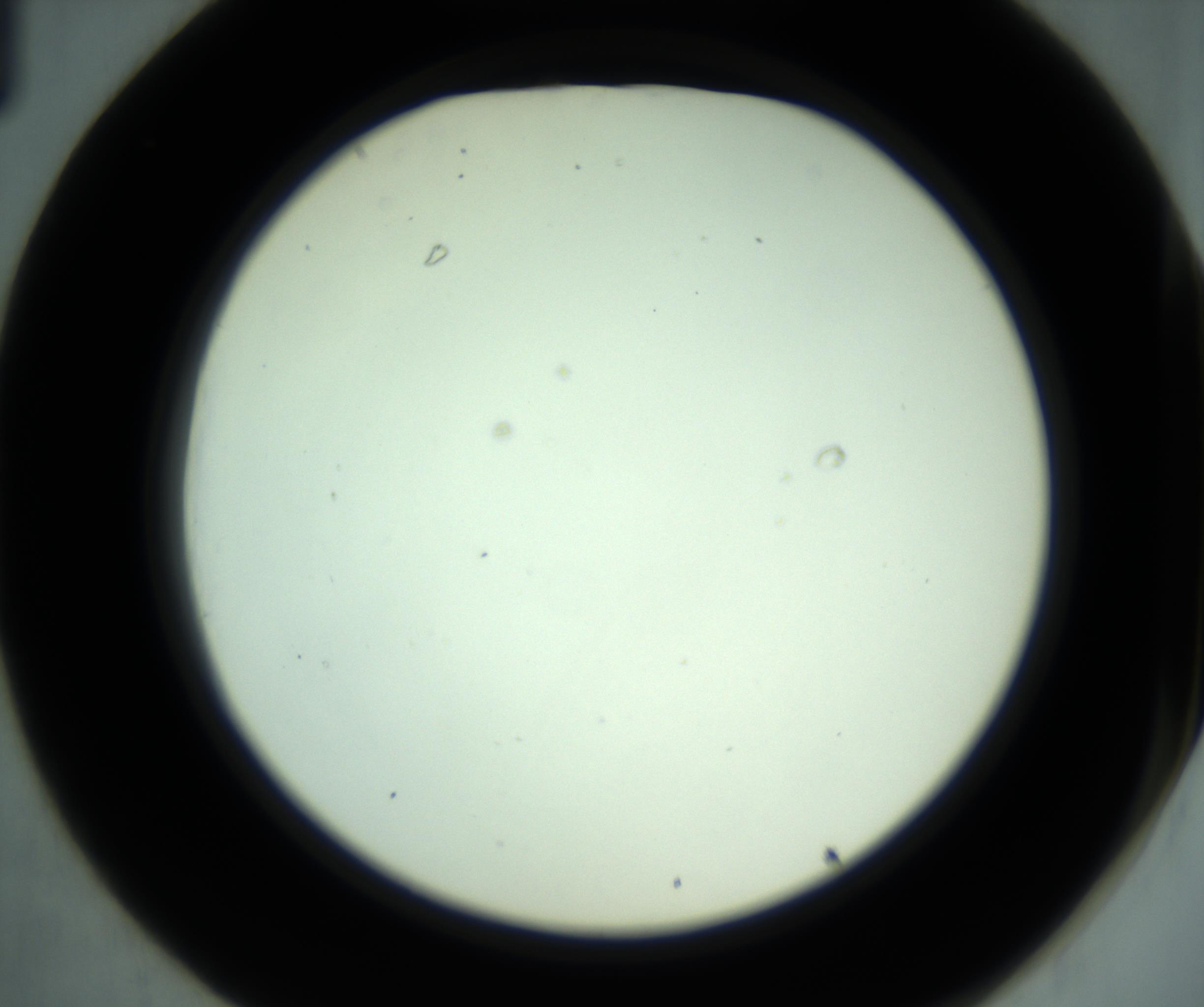 RI01_03_000_0212_Proj1_Clon1_MC_0000MC102881_001_161021_01_03_02_00_98_002_001_RAI.jpg
