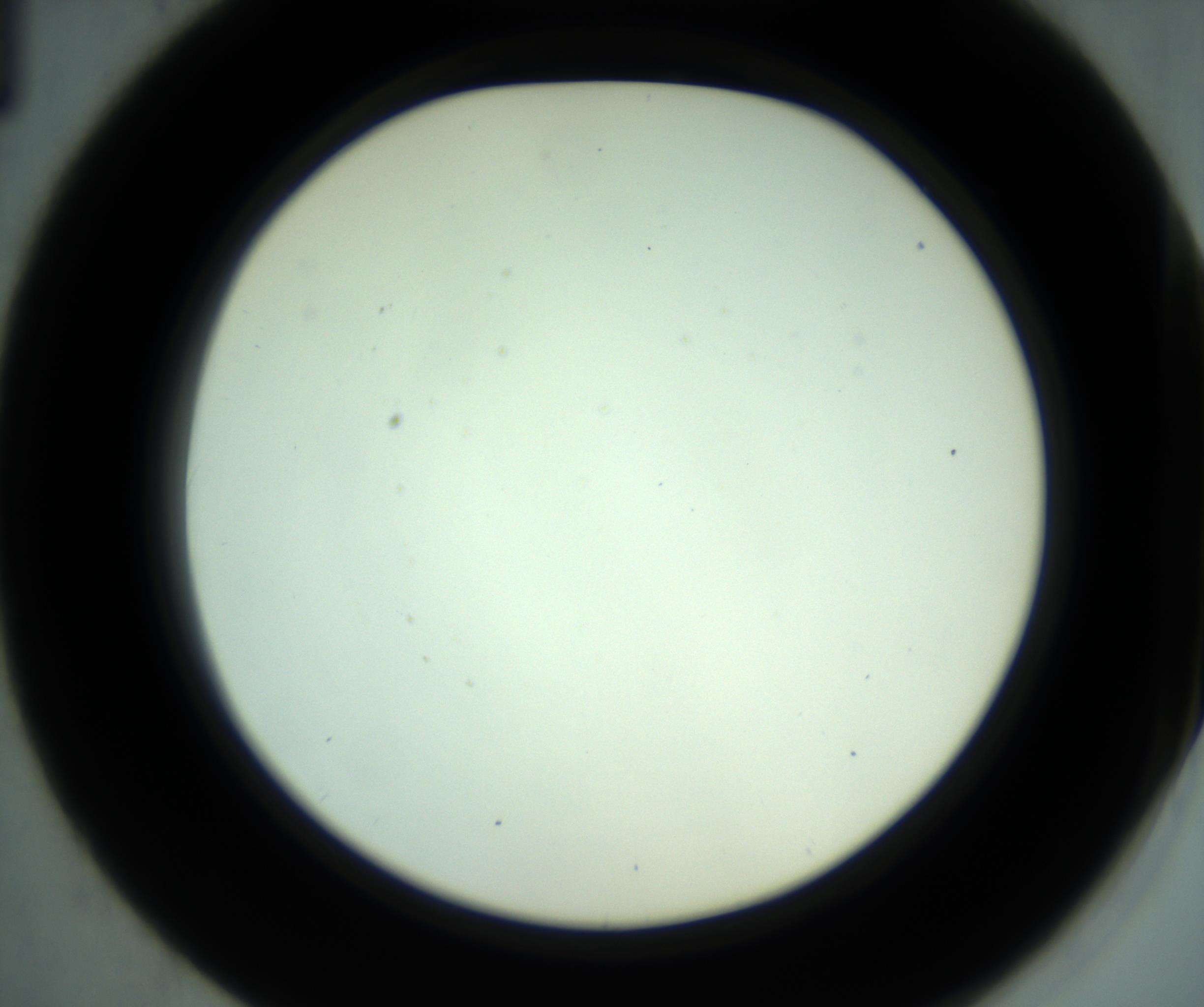 RI01_03_000_0212_Proj1_Clon1_MC_0000MC102881_001_161021_01_04_02_00_98_002_001_RAI.jpg