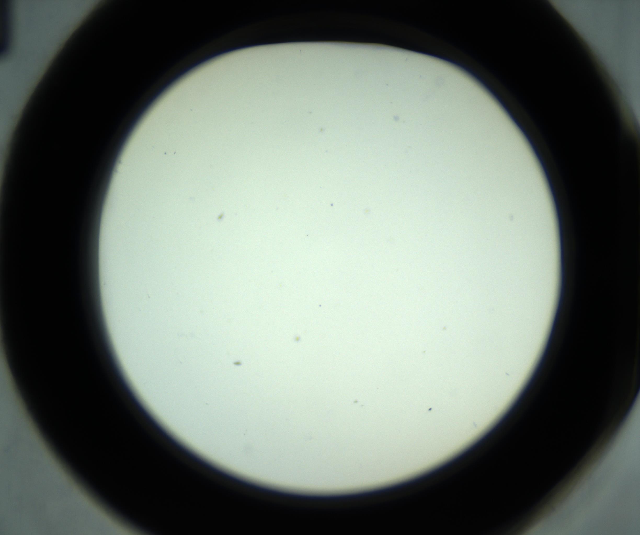 RI01_03_000_0212_Proj1_Clon1_MC_0000MC102881_001_161021_01_05_02_00_98_002_001_RAI.jpg