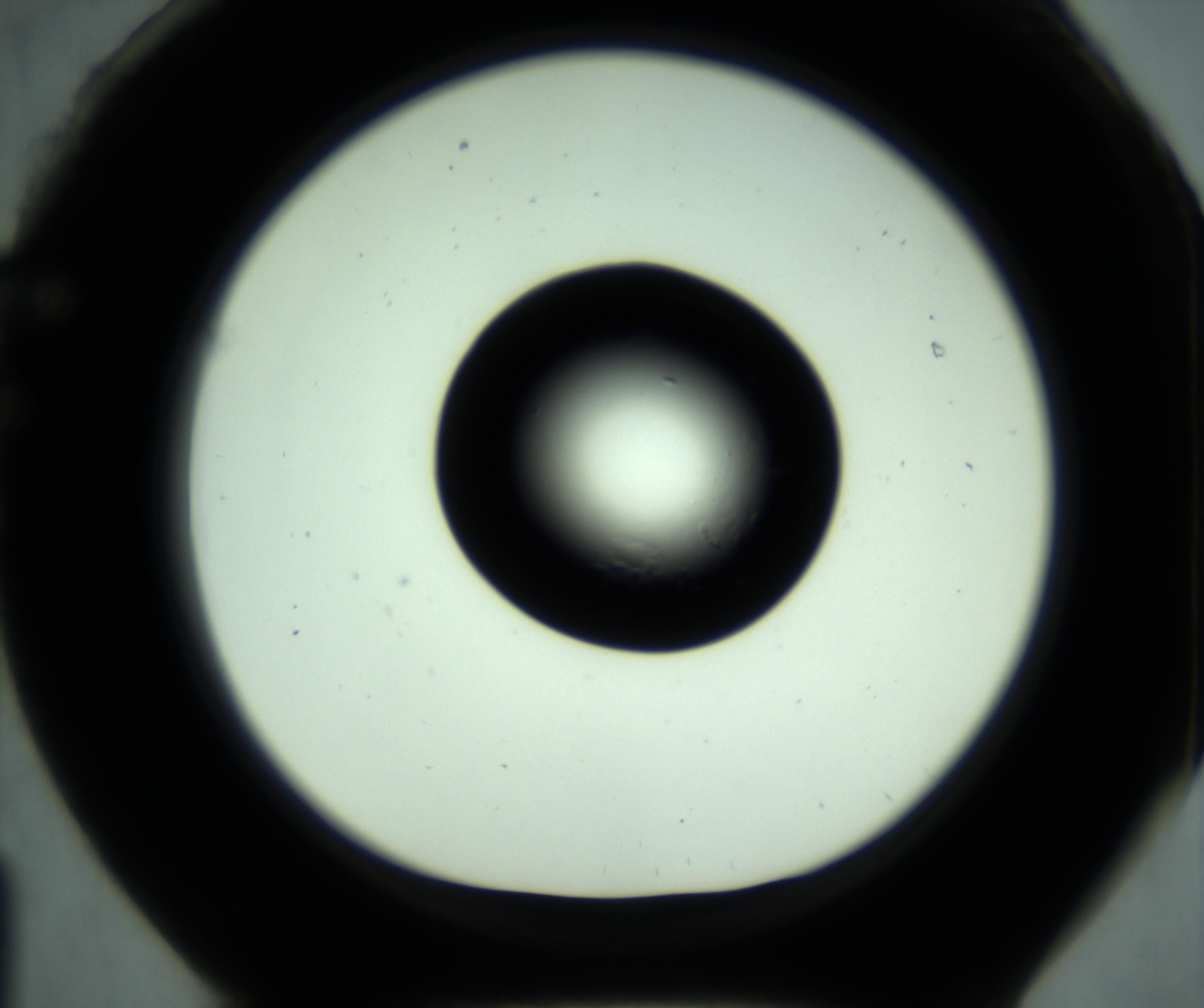 RI01_03_000_0212_Proj1_Clon1_MC_0000MC102881_001_161021_01_06_01_00_98_002_001_RAI.jpg