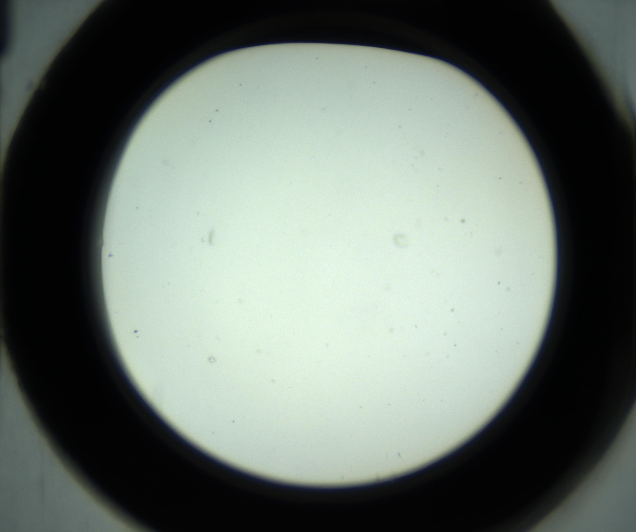 RI01_03_000_0212_Proj1_Clon1_MC_0000MC102881_001_161021_01_06_02_00_98_002_001_RAI.jpg