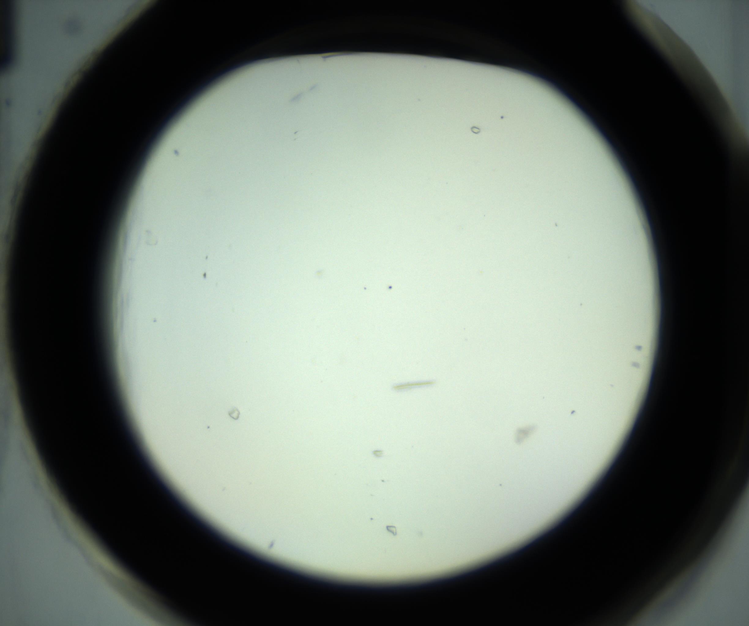 RI01_03_000_0212_Proj1_Clon1_MC_0000MC102881_001_161021_01_08_02_00_98_002_001_RAI.jpg