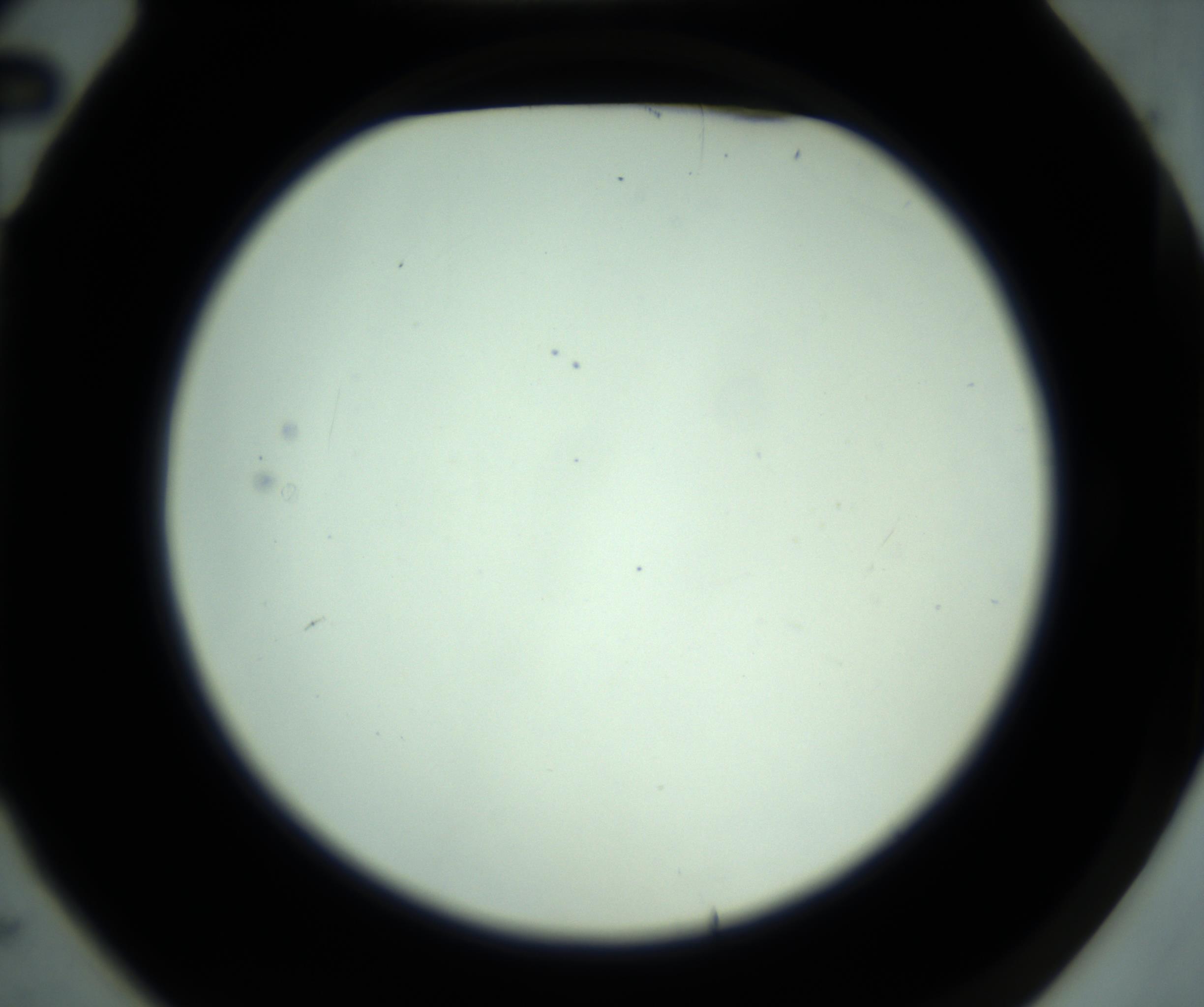RI01_03_000_0212_Proj1_Clon1_MC_0000MC102881_001_161021_02_01_02_00_98_002_001_RAI.jpg