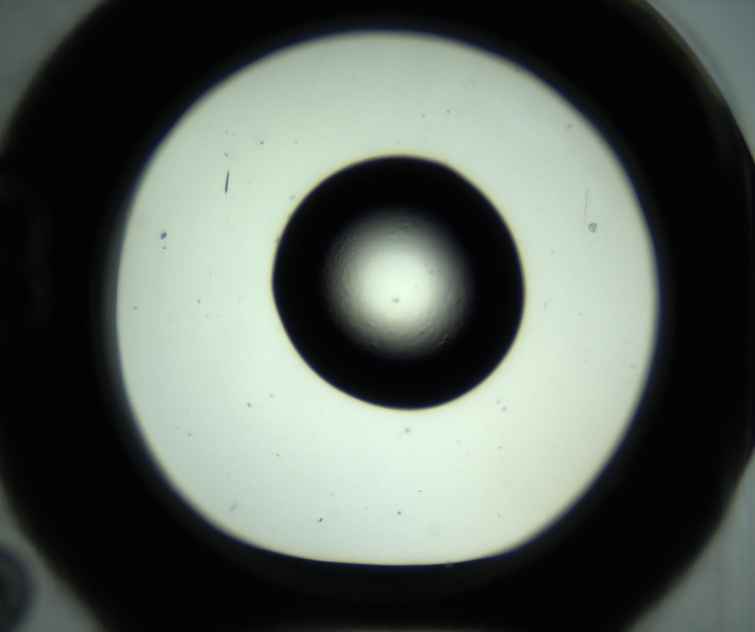 RI01_03_000_0212_Proj1_Clon1_MC_0000MC102881_001_161021_02_02_01_00_98_002_001_RAI.jpg