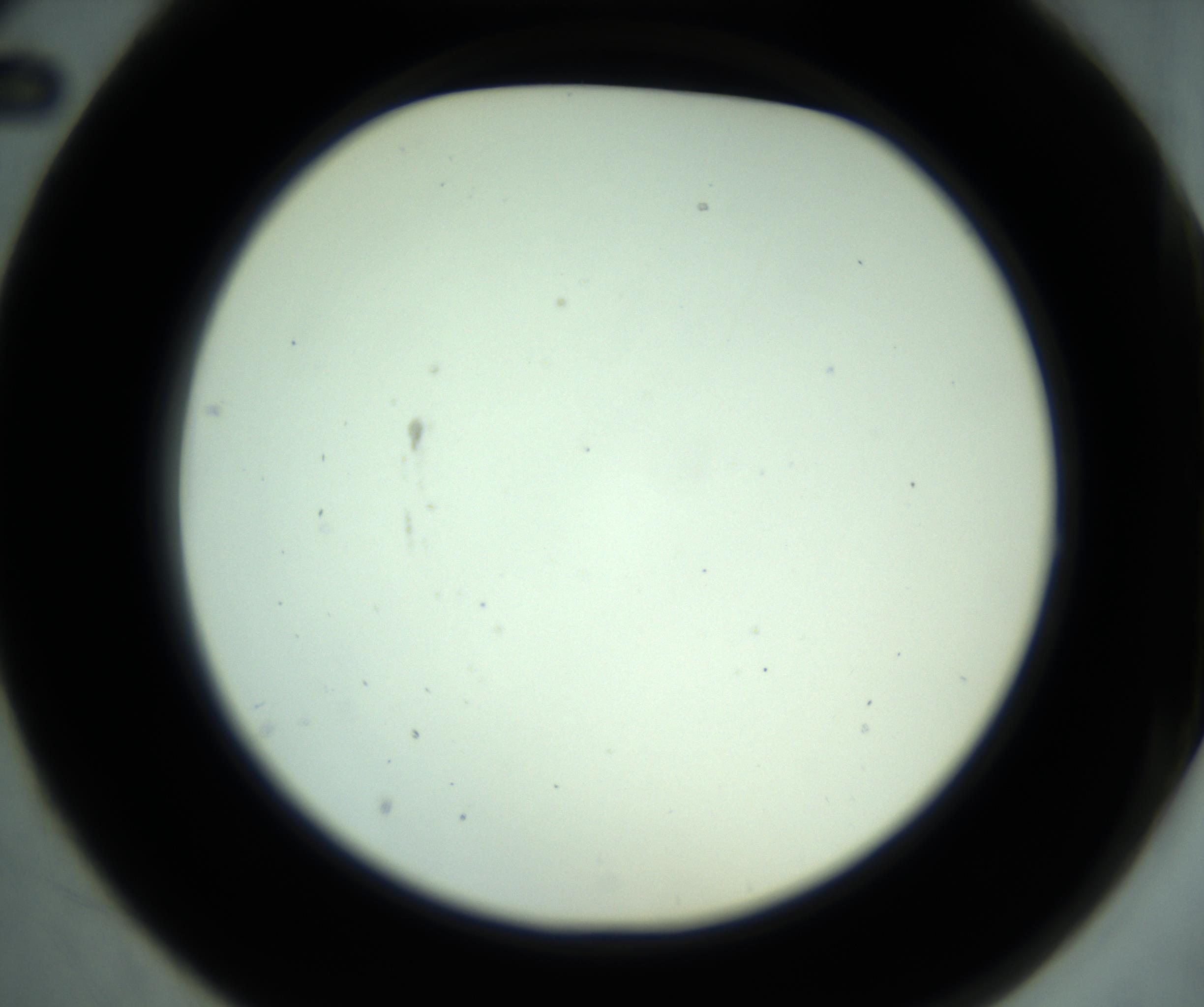 RI01_03_000_0212_Proj1_Clon1_MC_0000MC102881_001_161021_02_02_02_00_98_002_001_RAI.jpg