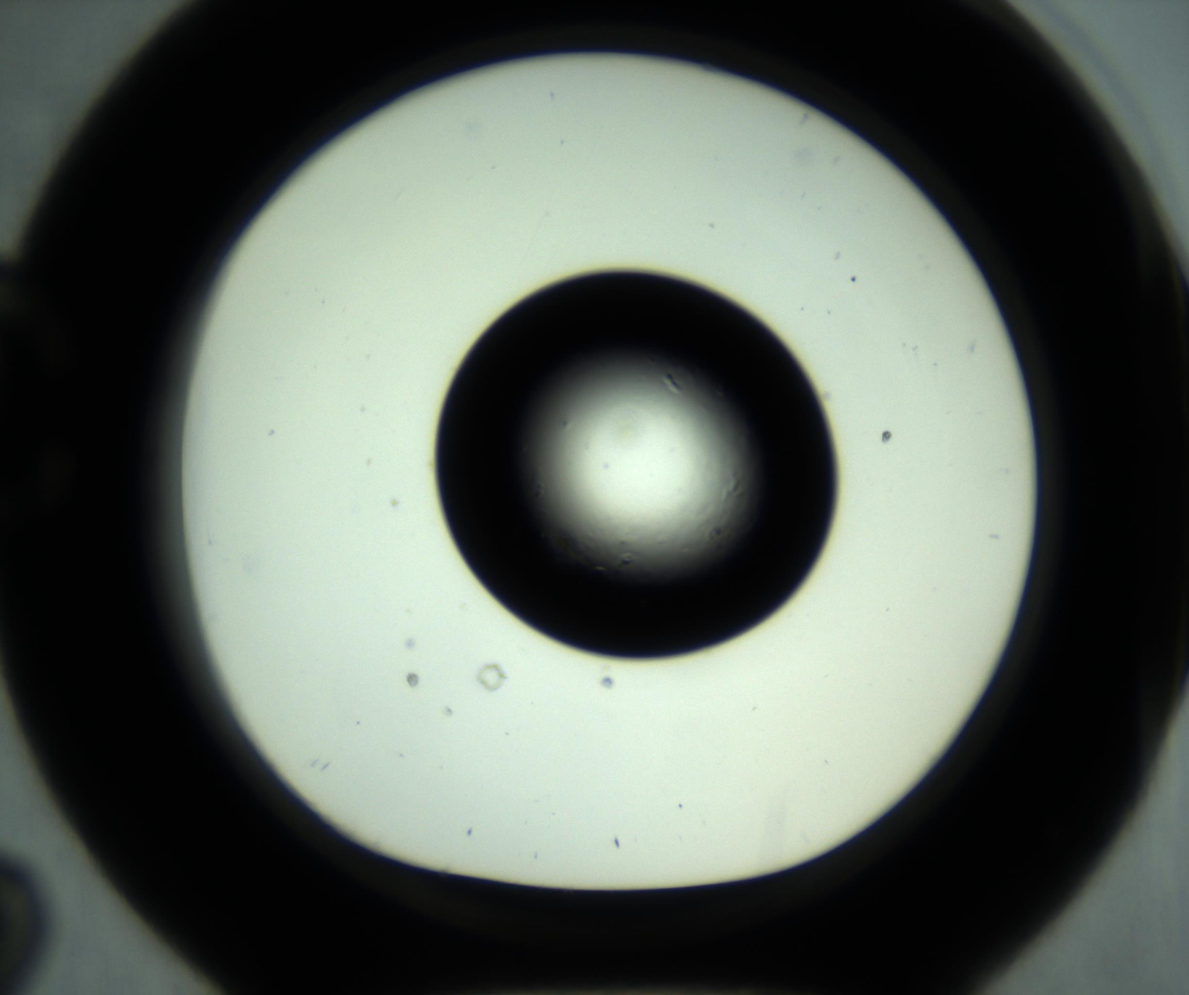 RI01_03_000_0212_Proj1_Clon1_MC_0000MC102881_001_161021_02_03_01_00_98_002_001_RAI.jpg