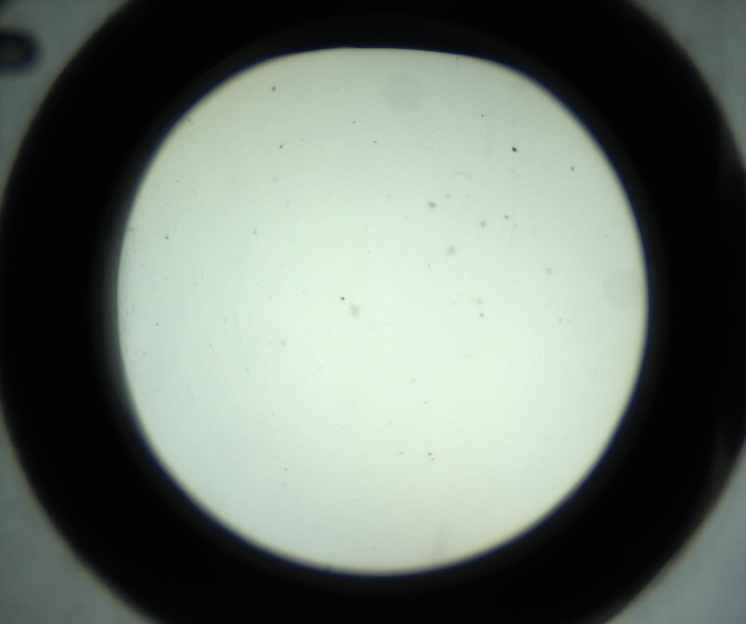 RI01_03_000_0212_Proj1_Clon1_MC_0000MC102881_001_161021_02_03_02_00_98_002_001_RAI.jpg