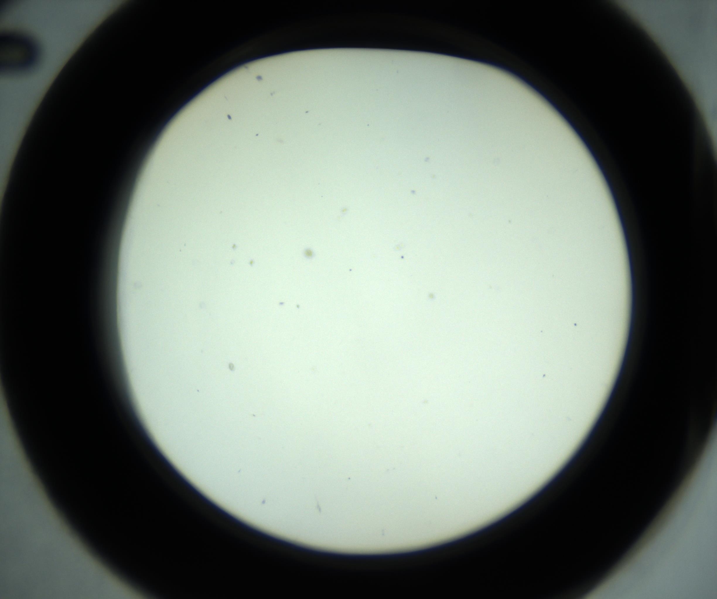 RI01_03_000_0212_Proj1_Clon1_MC_0000MC102881_001_161021_02_04_02_00_98_002_001_RAI.jpg