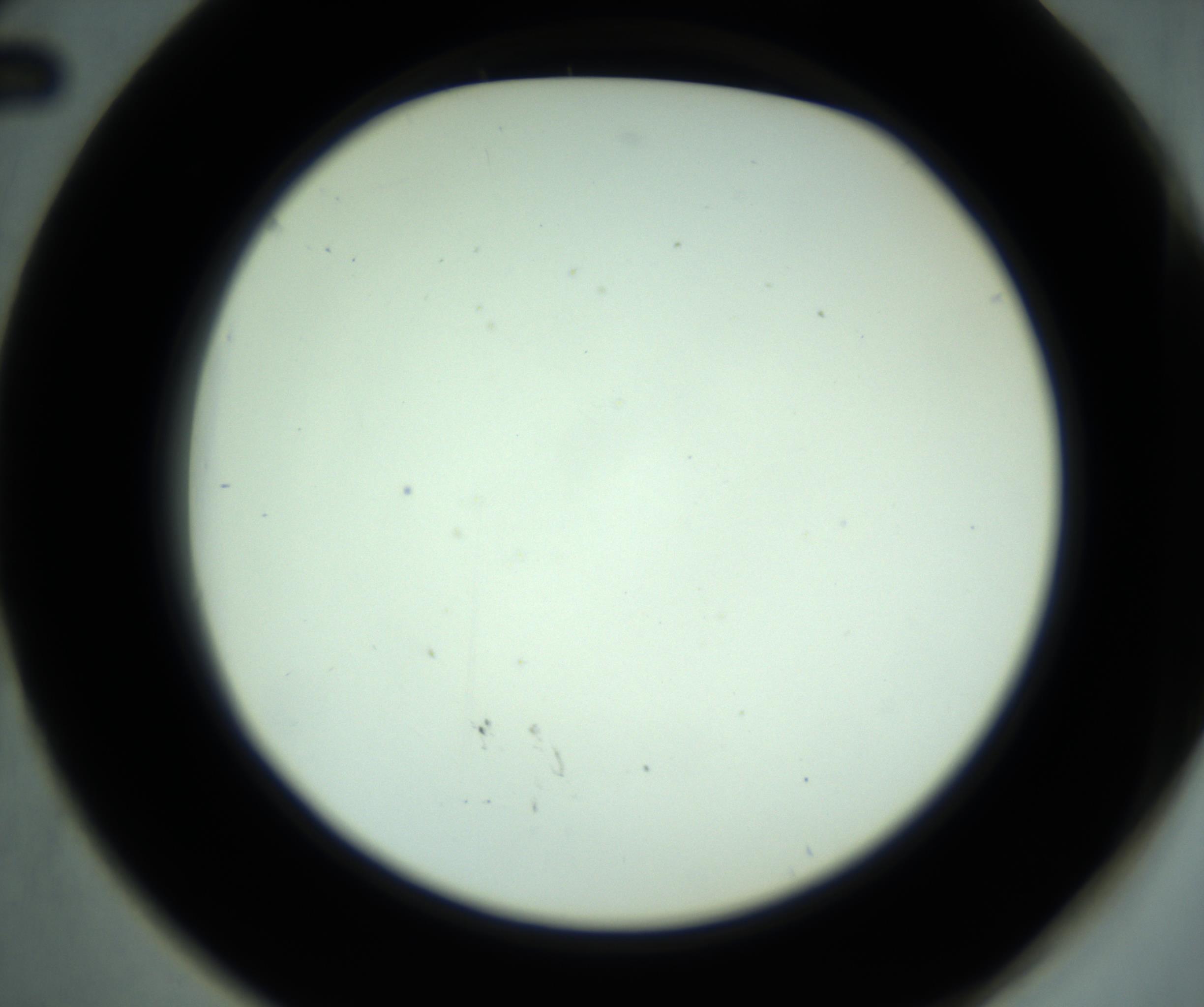 RI01_03_000_0212_Proj1_Clon1_MC_0000MC102881_001_161021_02_05_02_00_98_002_001_RAI.jpg
