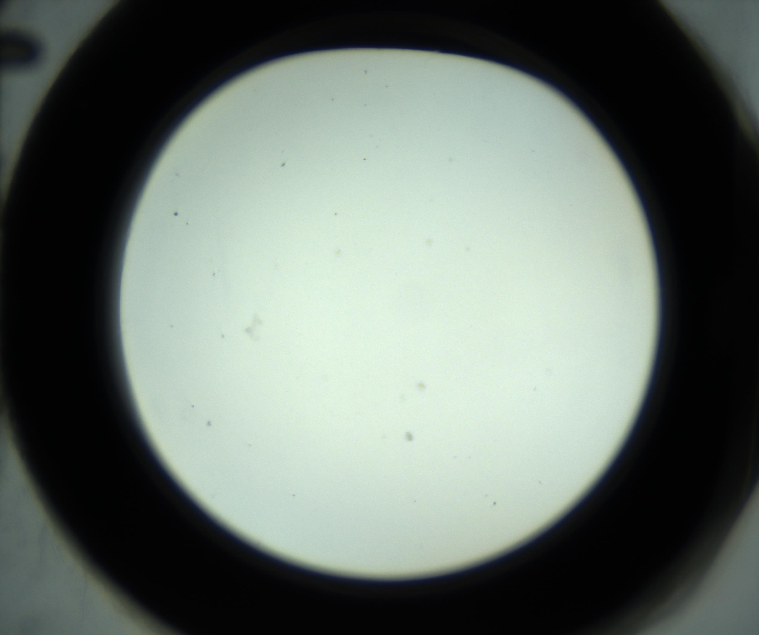 RI01_03_000_0212_Proj1_Clon1_MC_0000MC102881_001_161021_02_06_02_00_98_002_001_RAI.jpg