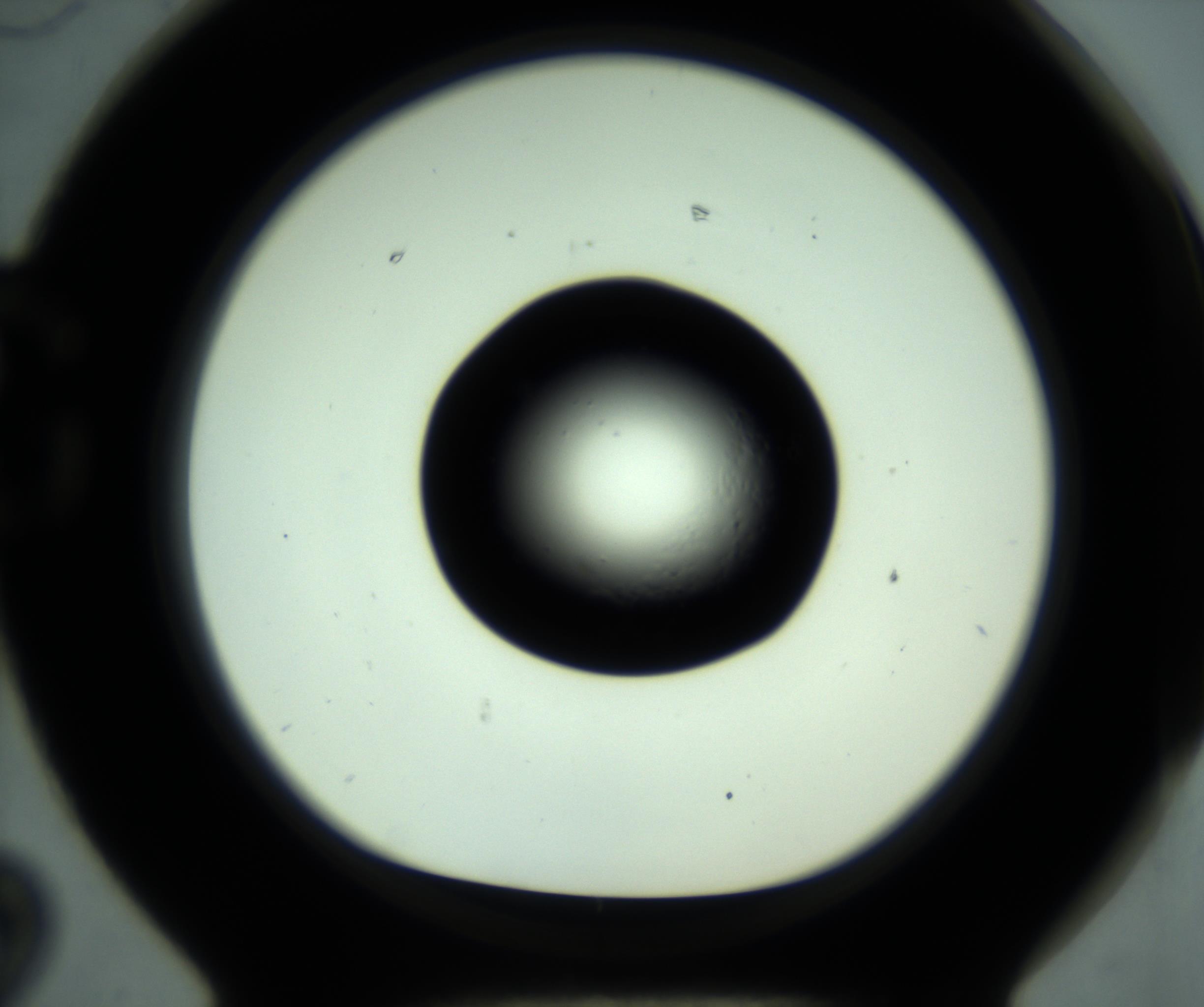 RI01_03_000_0212_Proj1_Clon1_MC_0000MC102881_001_161021_02_07_01_00_98_002_001_RAI.jpg