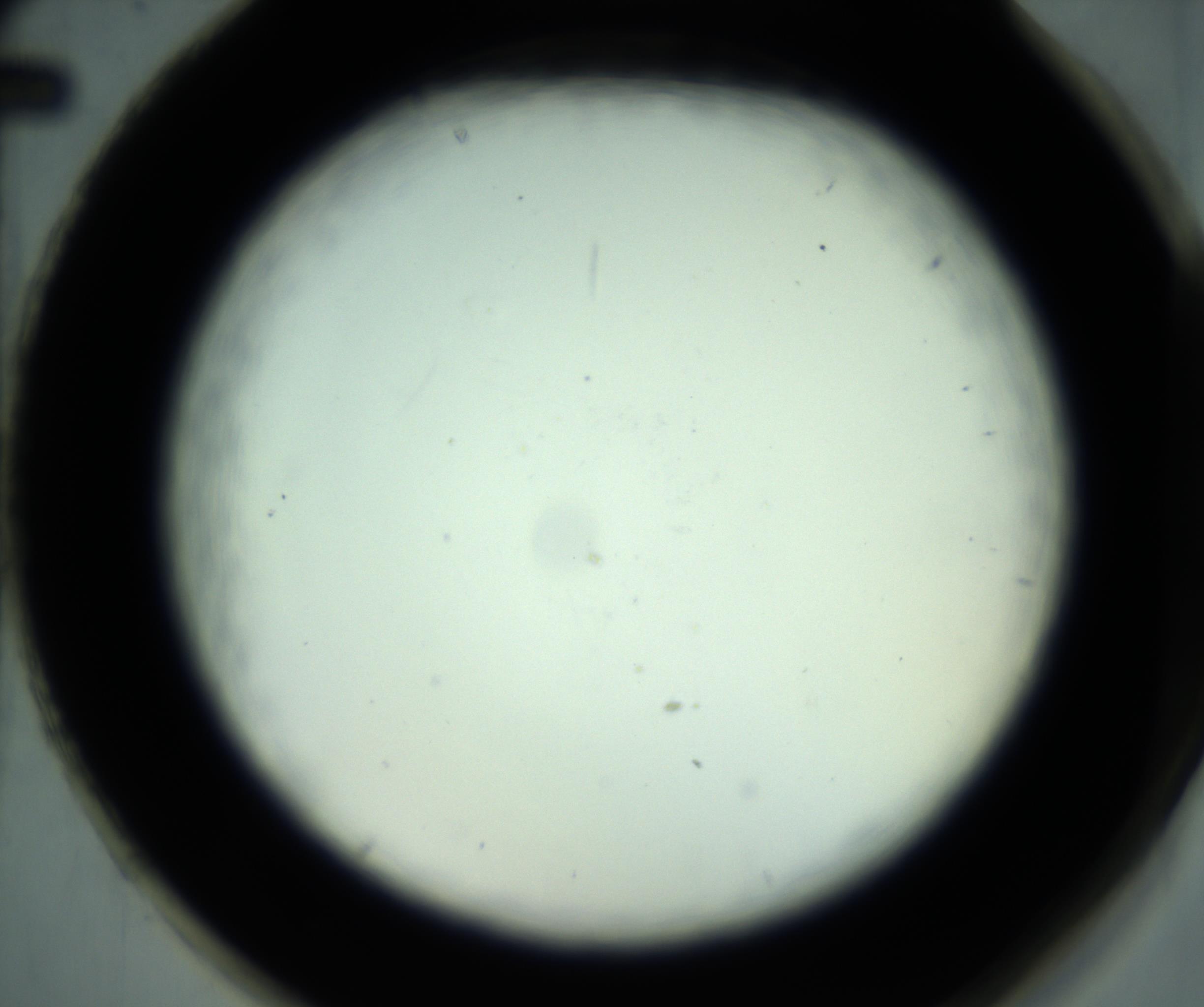 RI01_03_000_0212_Proj1_Clon1_MC_0000MC102881_001_161021_02_08_02_00_98_002_001_RAI.jpg