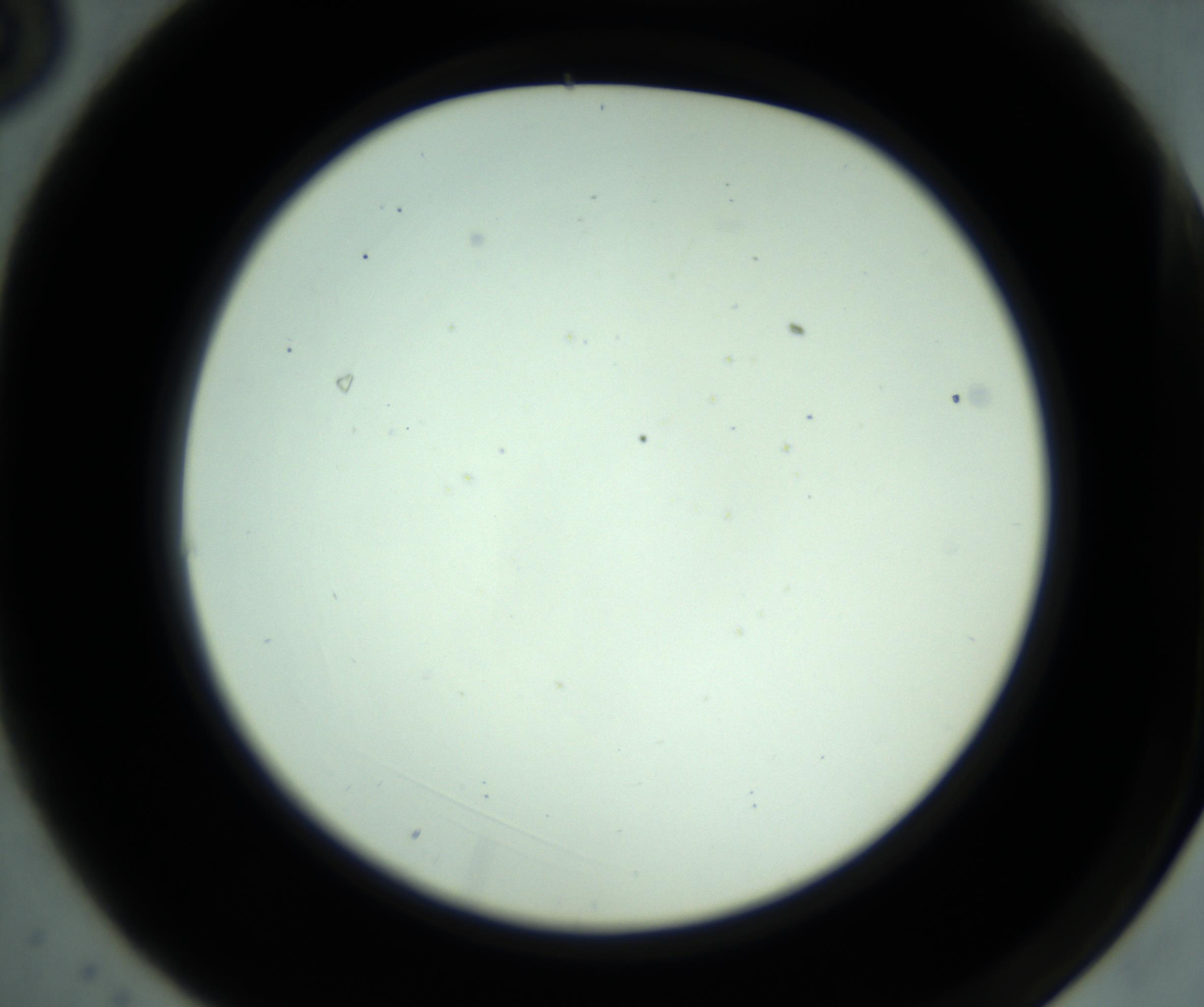 RI01_03_000_0212_Proj1_Clon1_MC_0000MC102881_001_161021_03_01_02_00_98_002_001_RAI.jpg